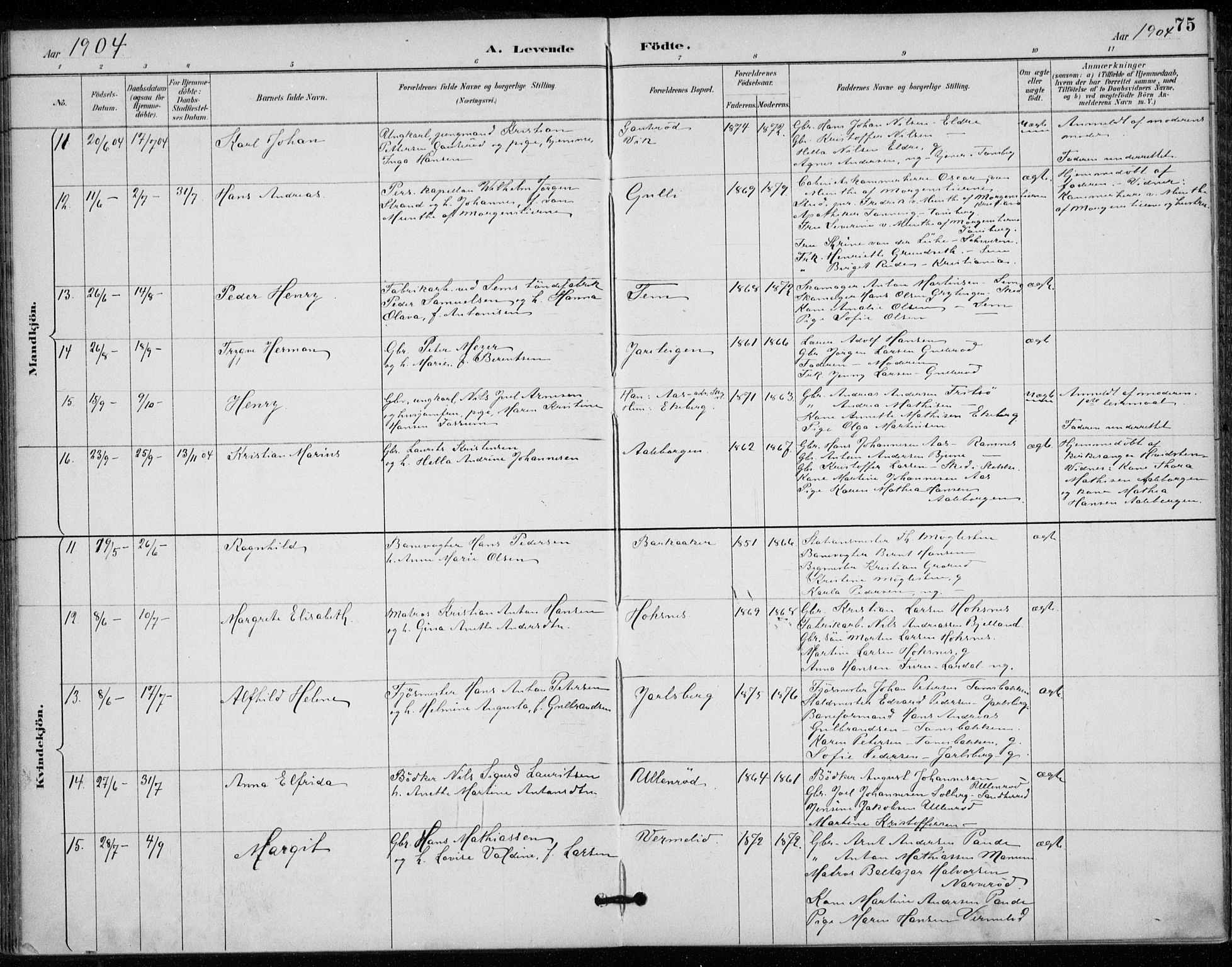 Sem kirkebøker, AV/SAKO-A-5/F/Fa/L0011: Ministerialbok nr. I 11, 1888-1904, s. 75
