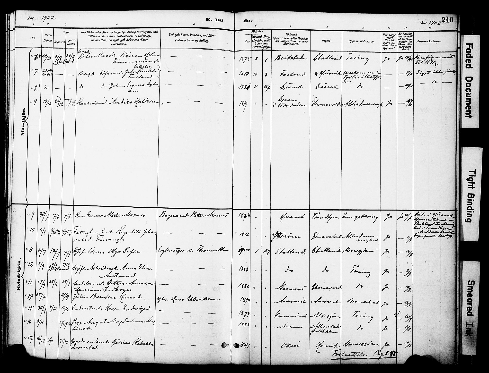 Ministerialprotokoller, klokkerbøker og fødselsregistre - Nord-Trøndelag, AV/SAT-A-1458/774/L0628: Ministerialbok nr. 774A02, 1887-1903, s. 246