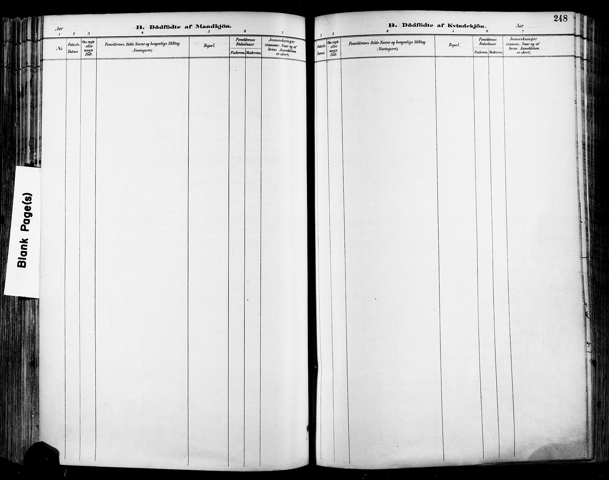 Halden prestekontor Kirkebøker, SAO/A-10909/F/Fa/L0013: Ministerialbok nr. I 13, 1890-1906, s. 248