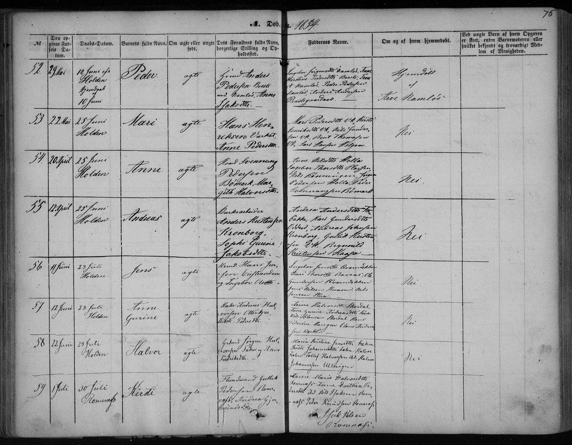 Holla kirkebøker, AV/SAKO-A-272/F/Fa/L0005: Ministerialbok nr. 5, 1849-1860, s. 75