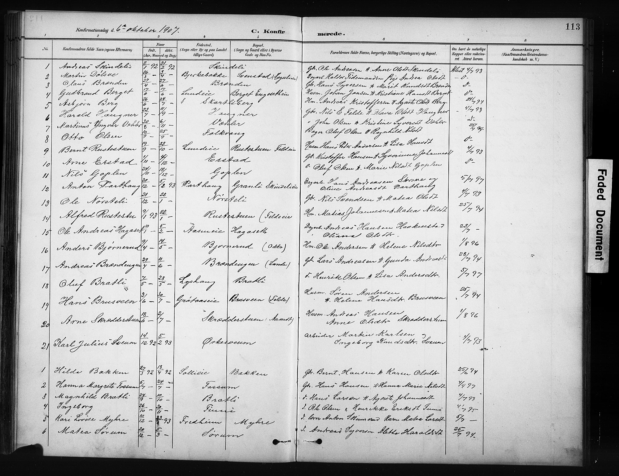 Nordre Land prestekontor, SAH/PREST-124/H/Ha/Hab/L0012: Klokkerbok nr. 12, 1891-1909, s. 113