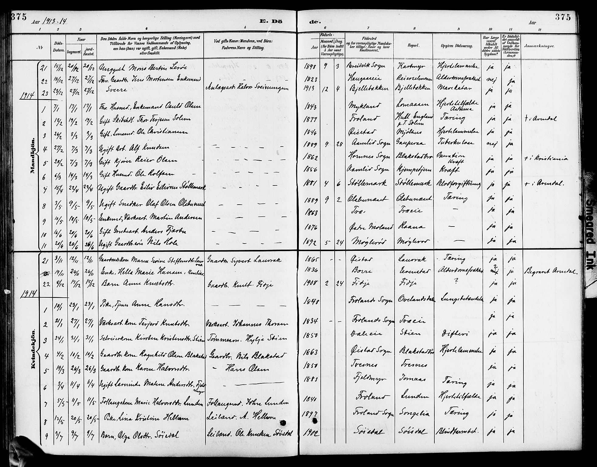 Froland sokneprestkontor, AV/SAK-1111-0013/F/Fb/L0010: Klokkerbok nr. B 10, 1893-1920, s. 375