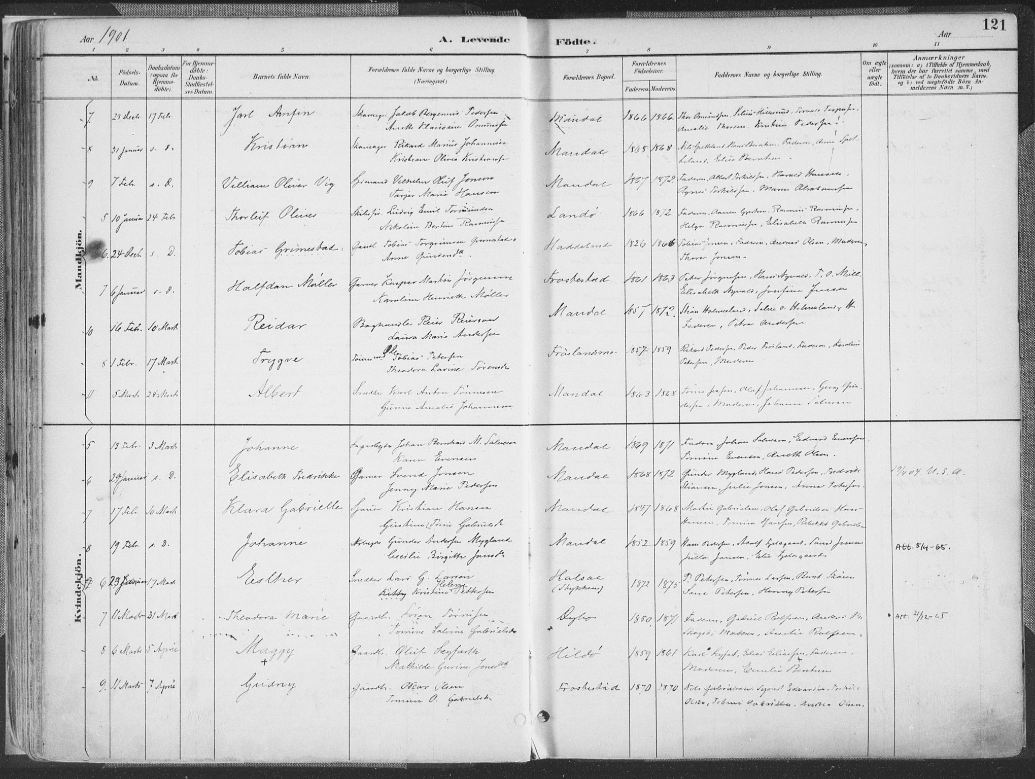 Mandal sokneprestkontor, SAK/1111-0030/F/Fa/Faa/L0018: Ministerialbok nr. A 18, 1890-1905, s. 121