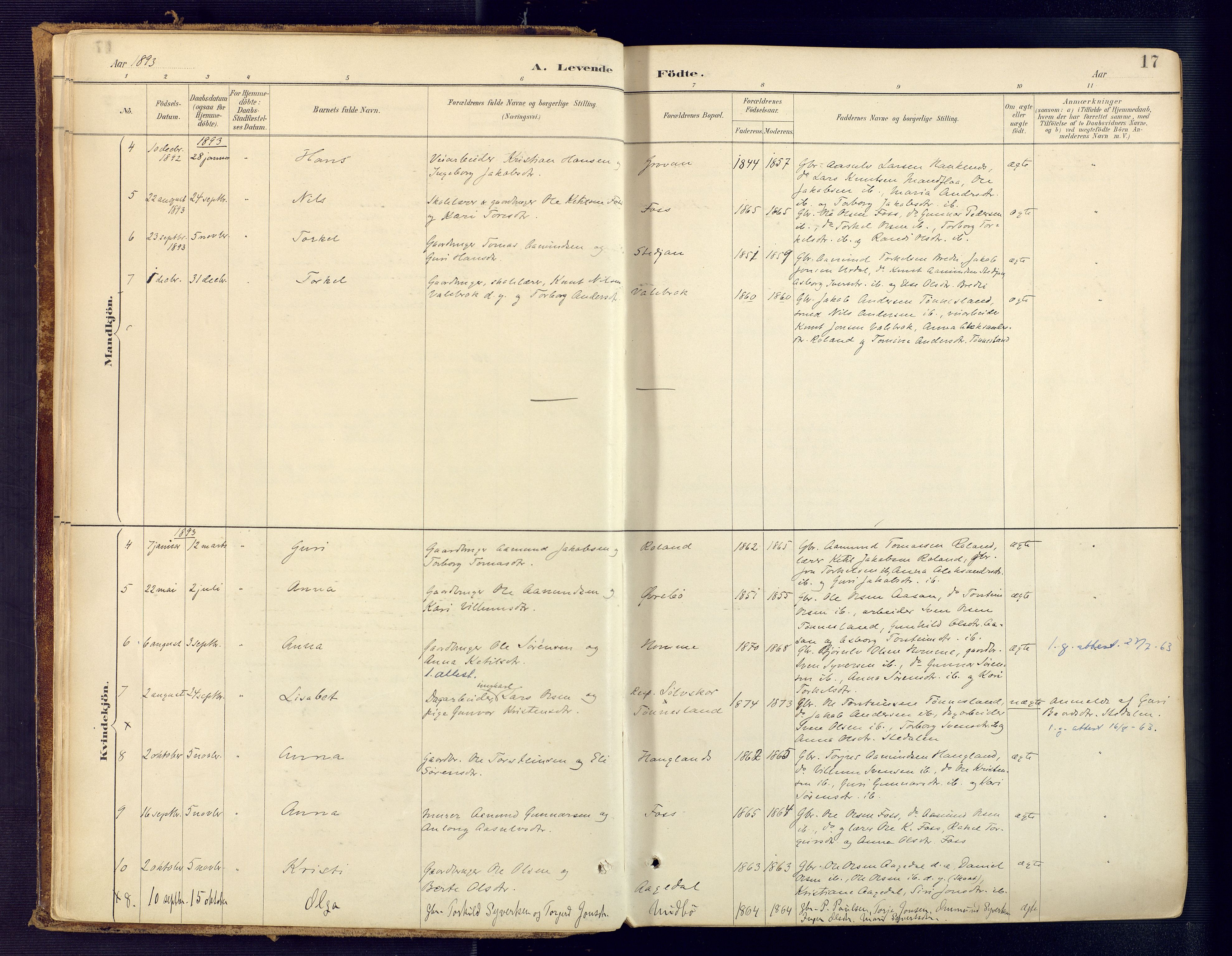 Bjelland sokneprestkontor, SAK/1111-0005/F/Fa/Faa/L0004: Ministerialbok nr. A 4, 1887-1923, s. 17