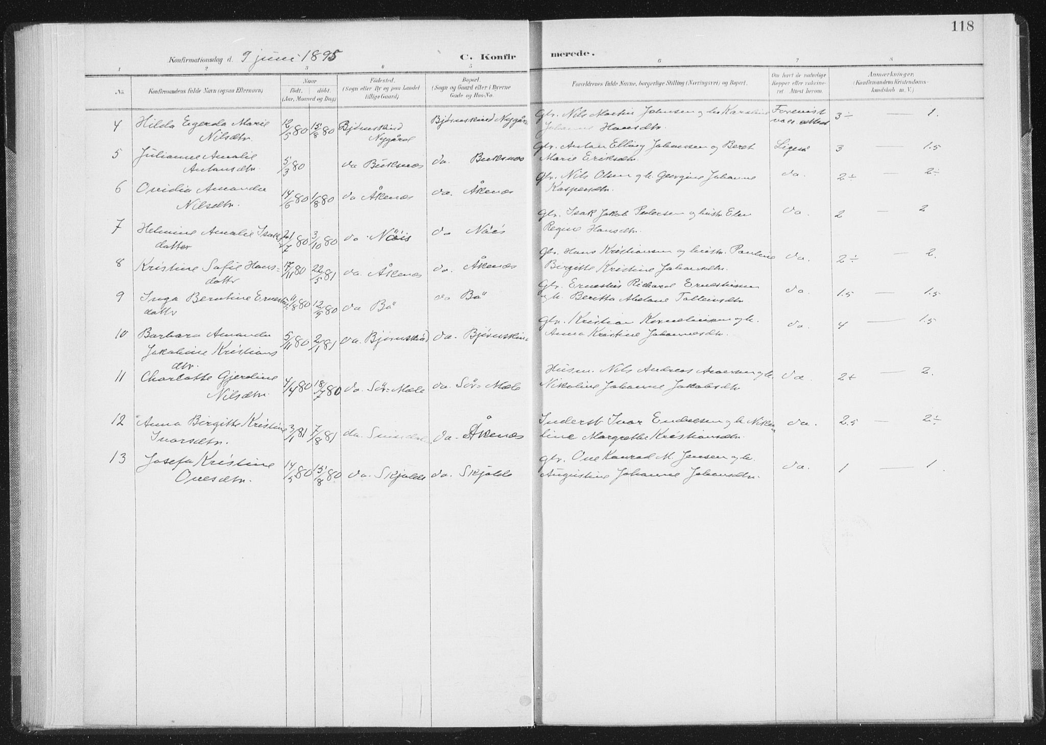 Ministerialprotokoller, klokkerbøker og fødselsregistre - Nordland, SAT/A-1459/898/L1422: Ministerialbok nr. 898A02, 1887-1908, s. 118