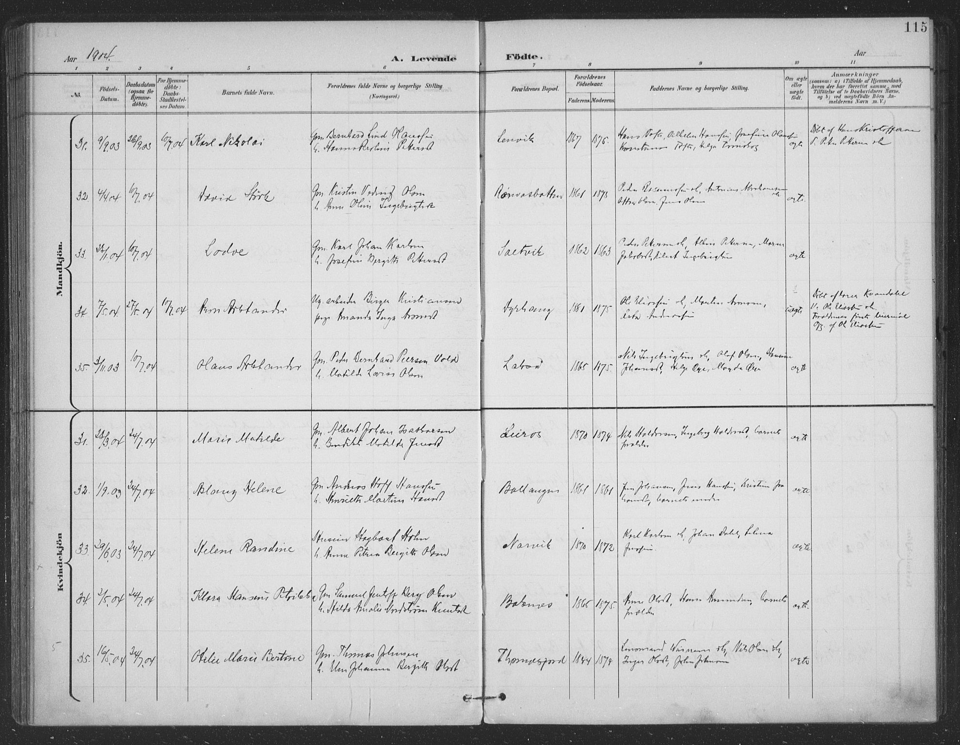 Ministerialprotokoller, klokkerbøker og fødselsregistre - Nordland, AV/SAT-A-1459/863/L0899: Ministerialbok nr. 863A11, 1897-1906, s. 115