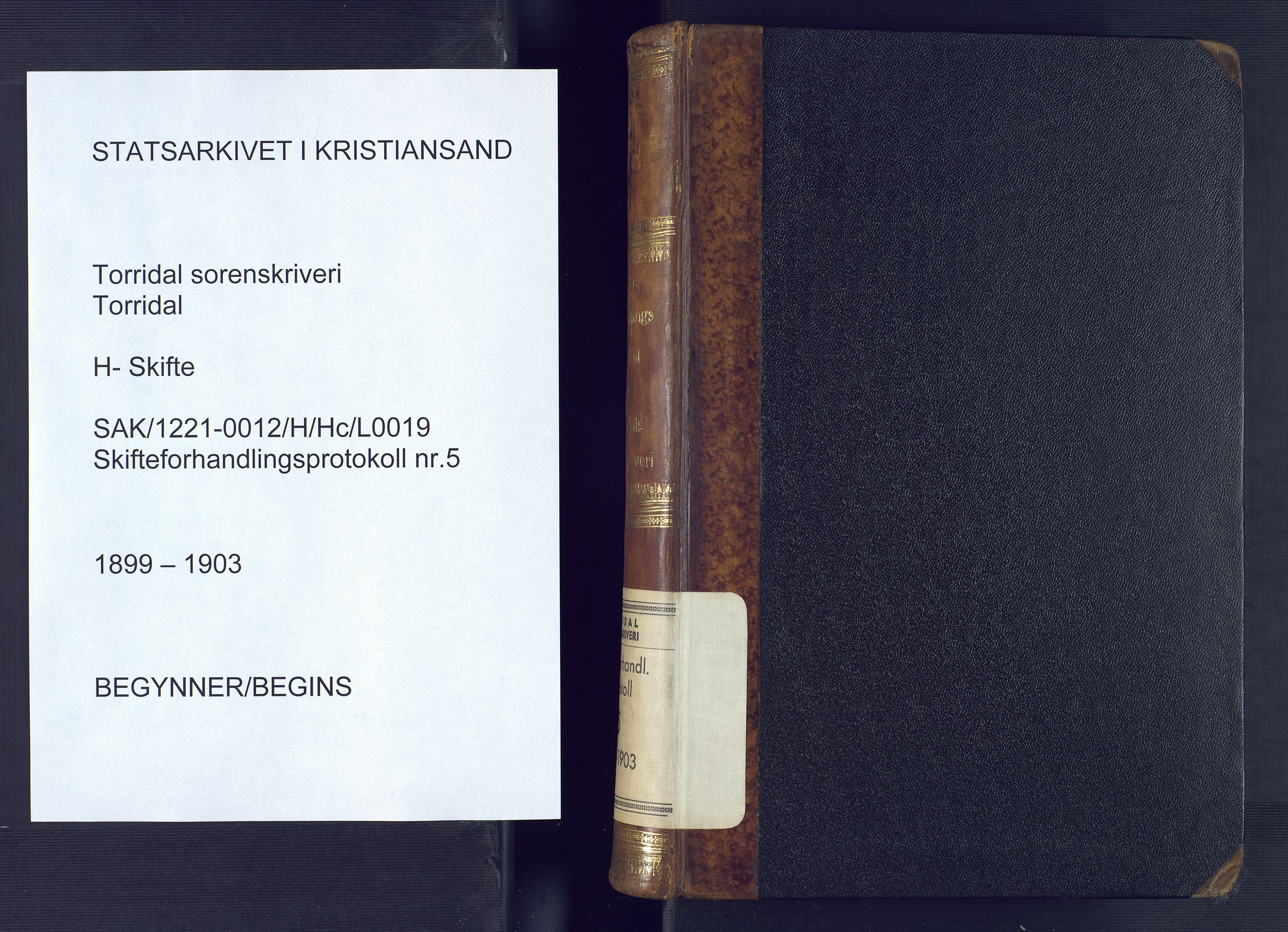 Torridal sorenskriveri, AV/SAK-1221-0012/H/Hc/L0019: Skifteforhandlingsprotokoll med navneregister nr. 5, 1899-1903