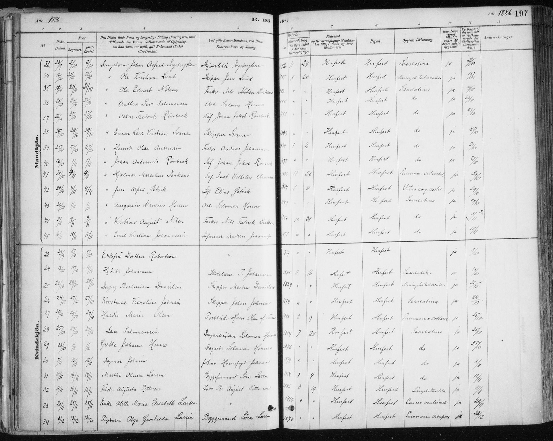 Hammerfest sokneprestkontor, AV/SATØ-S-1347/H/Ha/L0008.kirke: Ministerialbok nr. 8, 1878-1889, s. 197