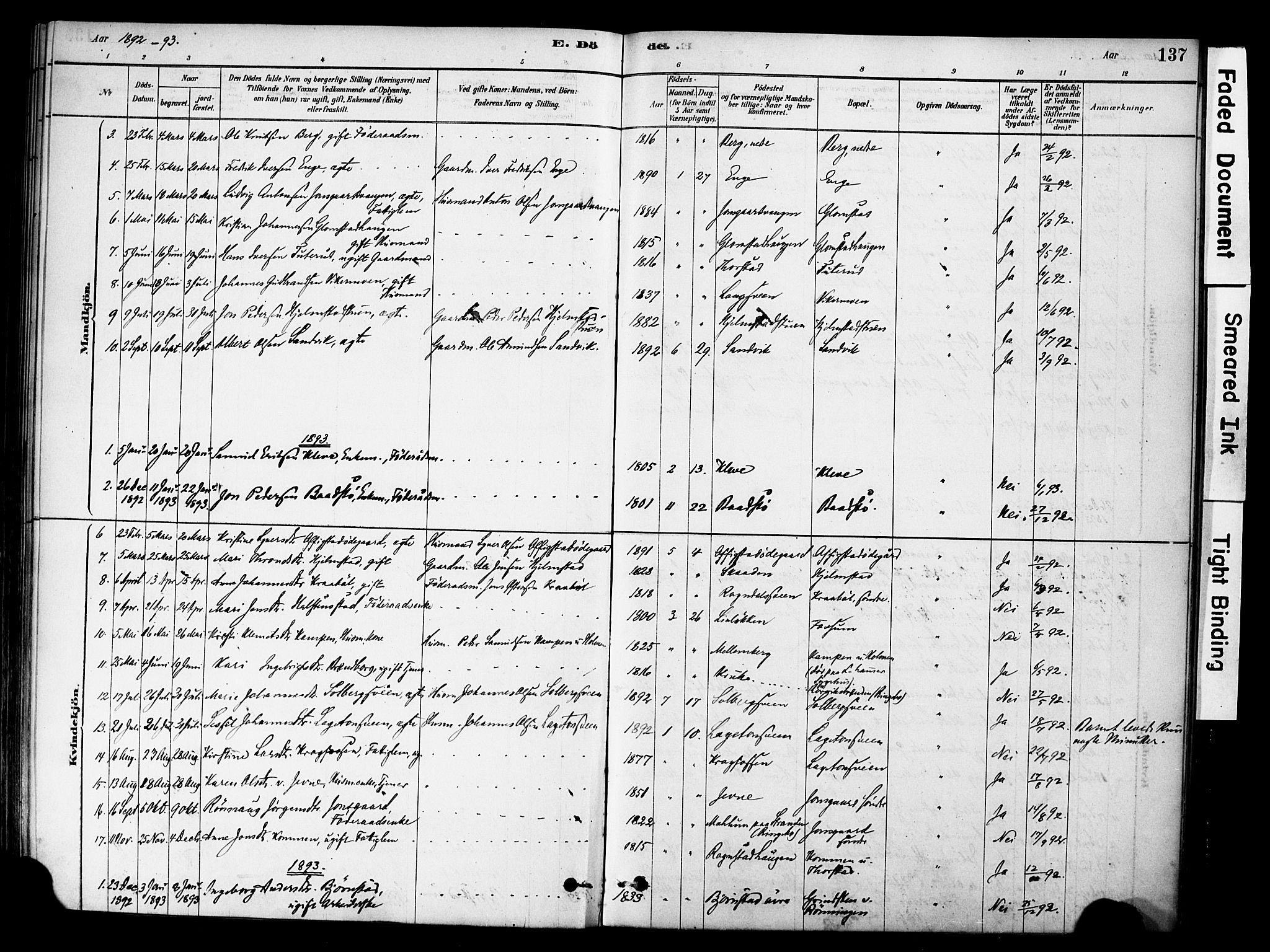 Øyer prestekontor, AV/SAH-PREST-084/H/Ha/Haa/L0009: Ministerialbok nr. 9, 1878-1893, s. 137