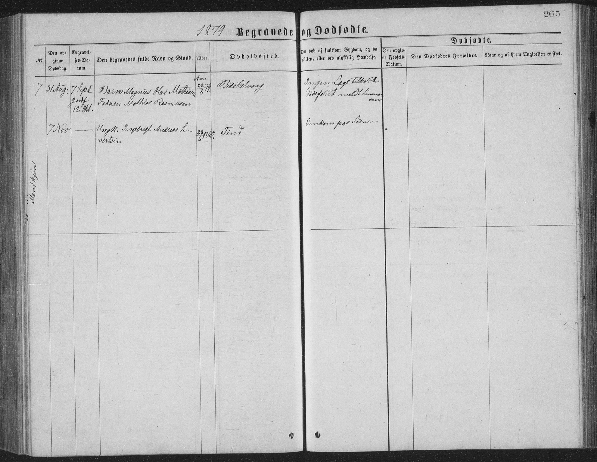 Ministerialprotokoller, klokkerbøker og fødselsregistre - Nordland, AV/SAT-A-1459/886/L1225: Klokkerbok nr. 886C02, 1874-1896, s. 265