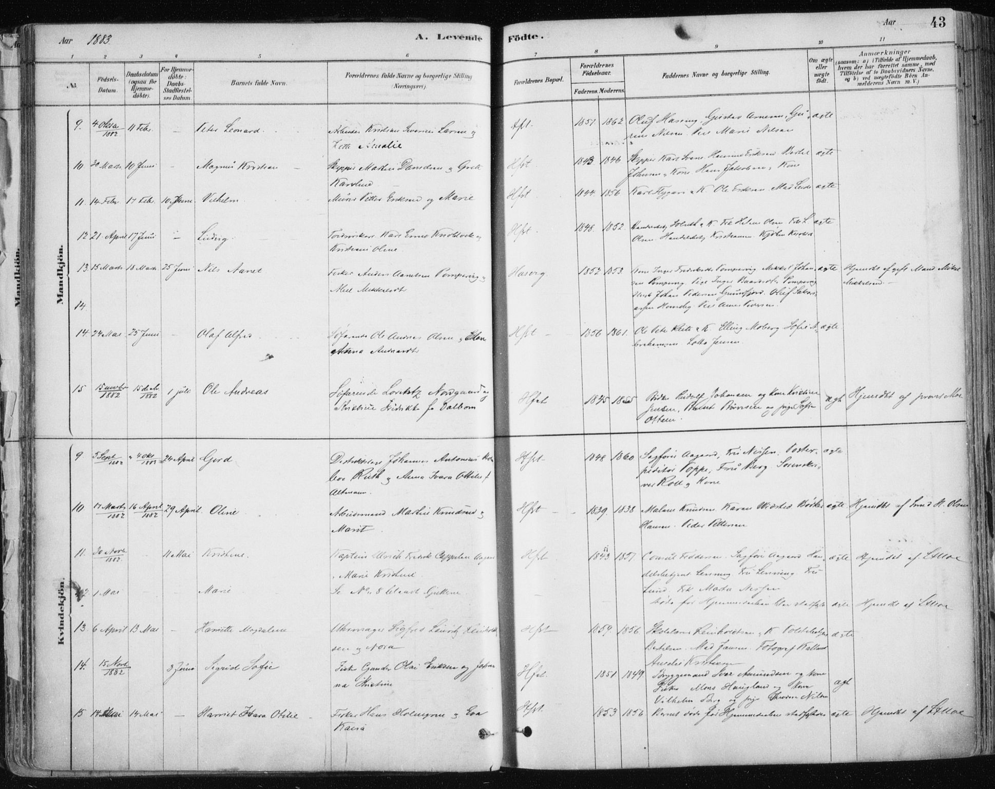 Hammerfest sokneprestkontor, SATØ/S-1347/H/Ha/L0008.kirke: Ministerialbok nr. 8, 1878-1889, s. 43
