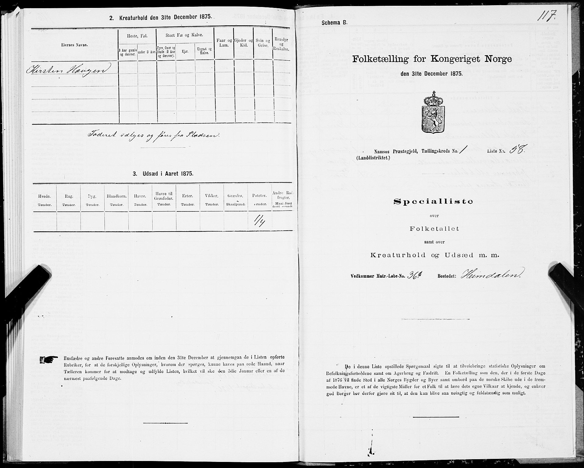 SAT, Folketelling 1875 for 1745L Namsos prestegjeld, Vemundvik sokn og Sævik sokn, 1875, s. 1117