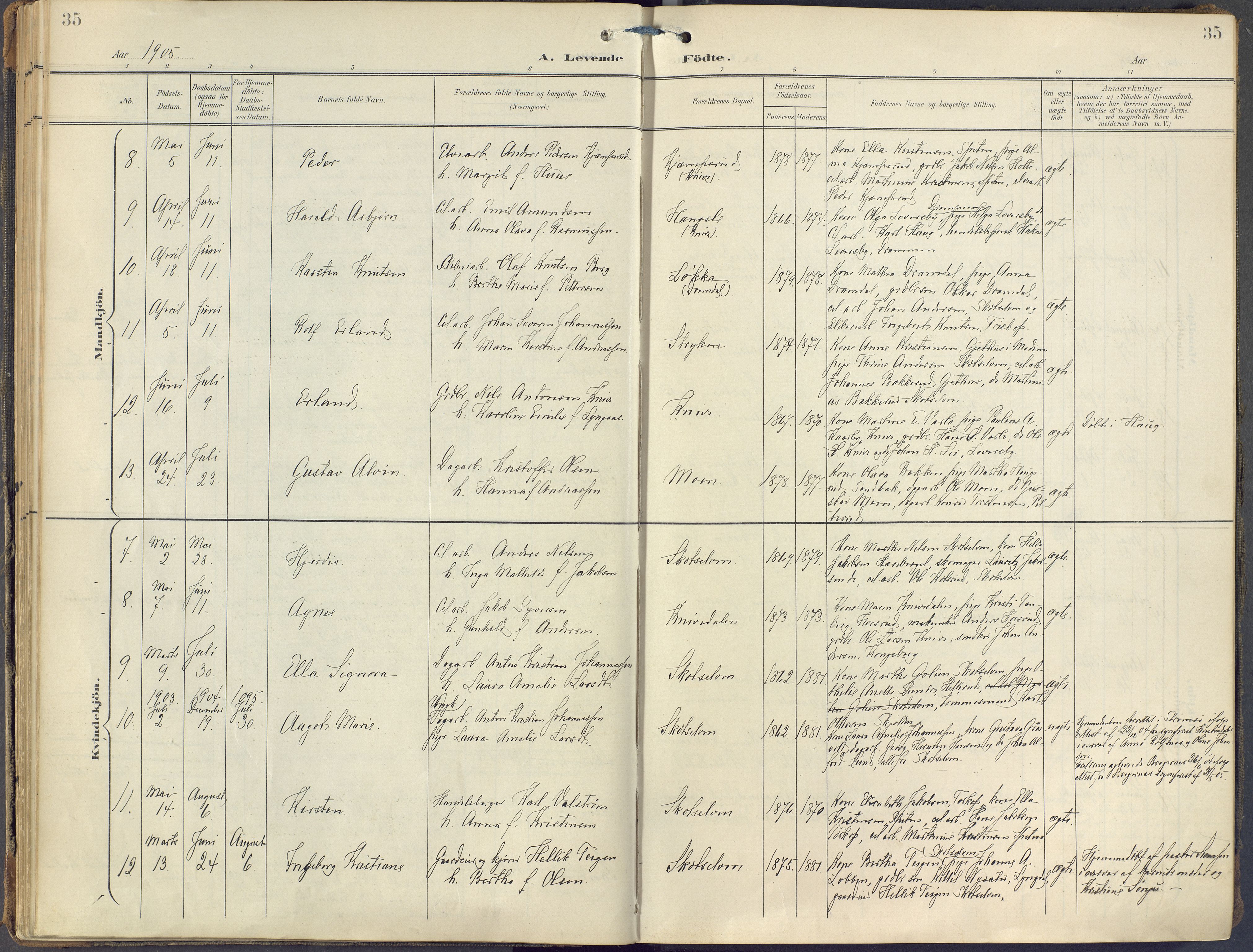 Eiker kirkebøker, AV/SAKO-A-4/F/Fc/L0004: Ministerialbok nr. III 4, 1900-1919, s. 35