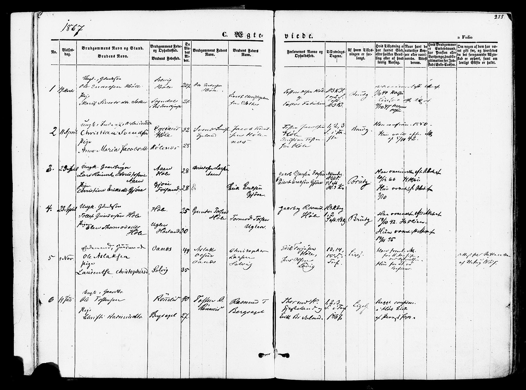 Høgsfjord sokneprestkontor, AV/SAST-A-101624/H/Ha/Haa/L0002: Ministerialbok nr. A 2, 1855-1885, s. 233