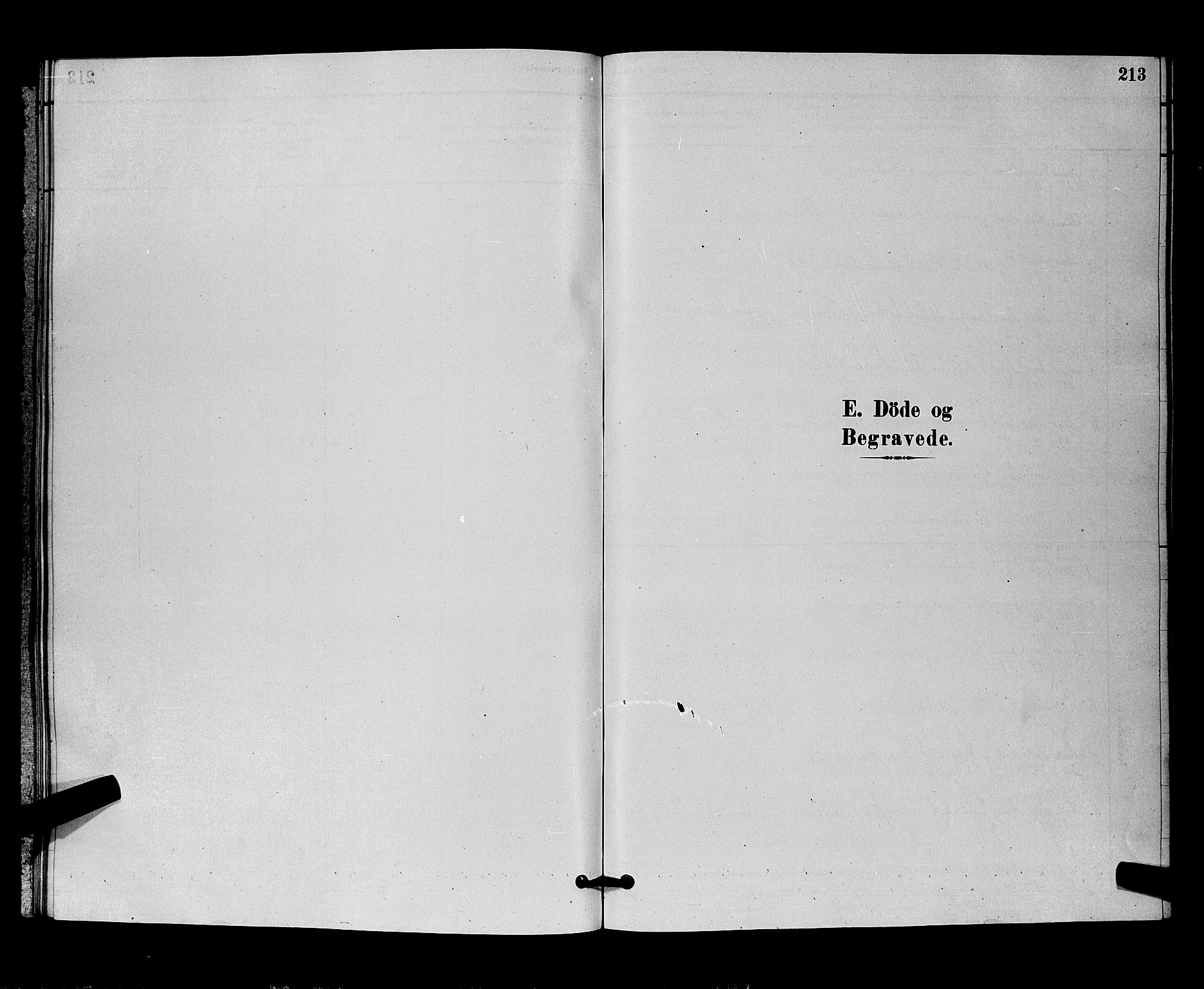 Nittedal prestekontor Kirkebøker, SAO/A-10365a/G/Ga/L0002: Klokkerbok nr. I 2, 1879-1901, s. 213