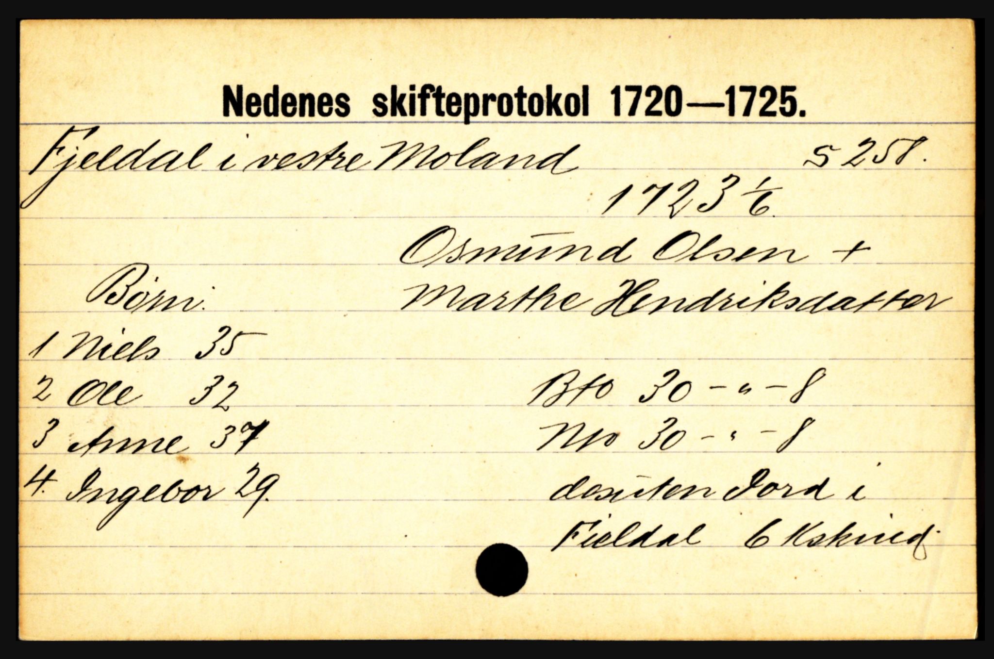 Nedenes sorenskriveri før 1824, AV/SAK-1221-0007/H, s. 6767