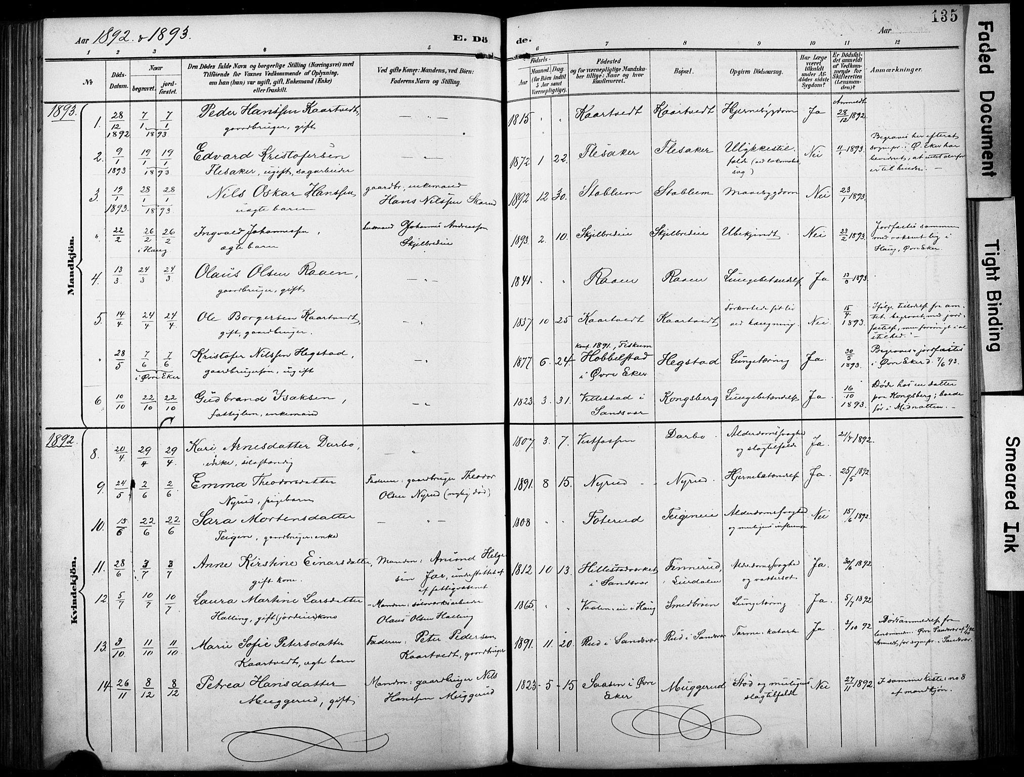 Fiskum kirkebøker, AV/SAKO-A-15/F/Fa/L0003: Ministerialbok nr. 3, 1890-1905, s. 135