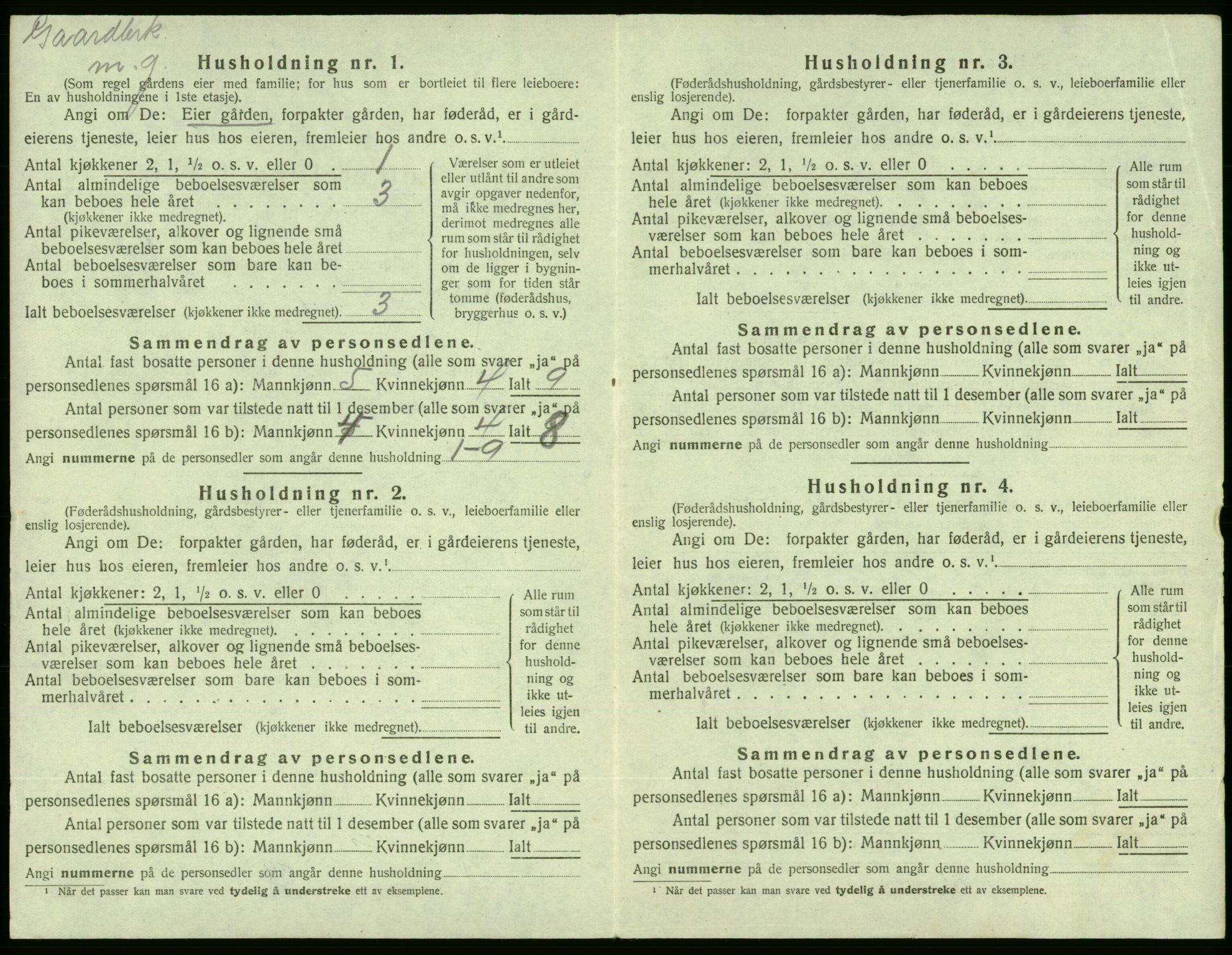 SAB, Folketelling 1920 for 1211 Etne herred, 1920, s. 205