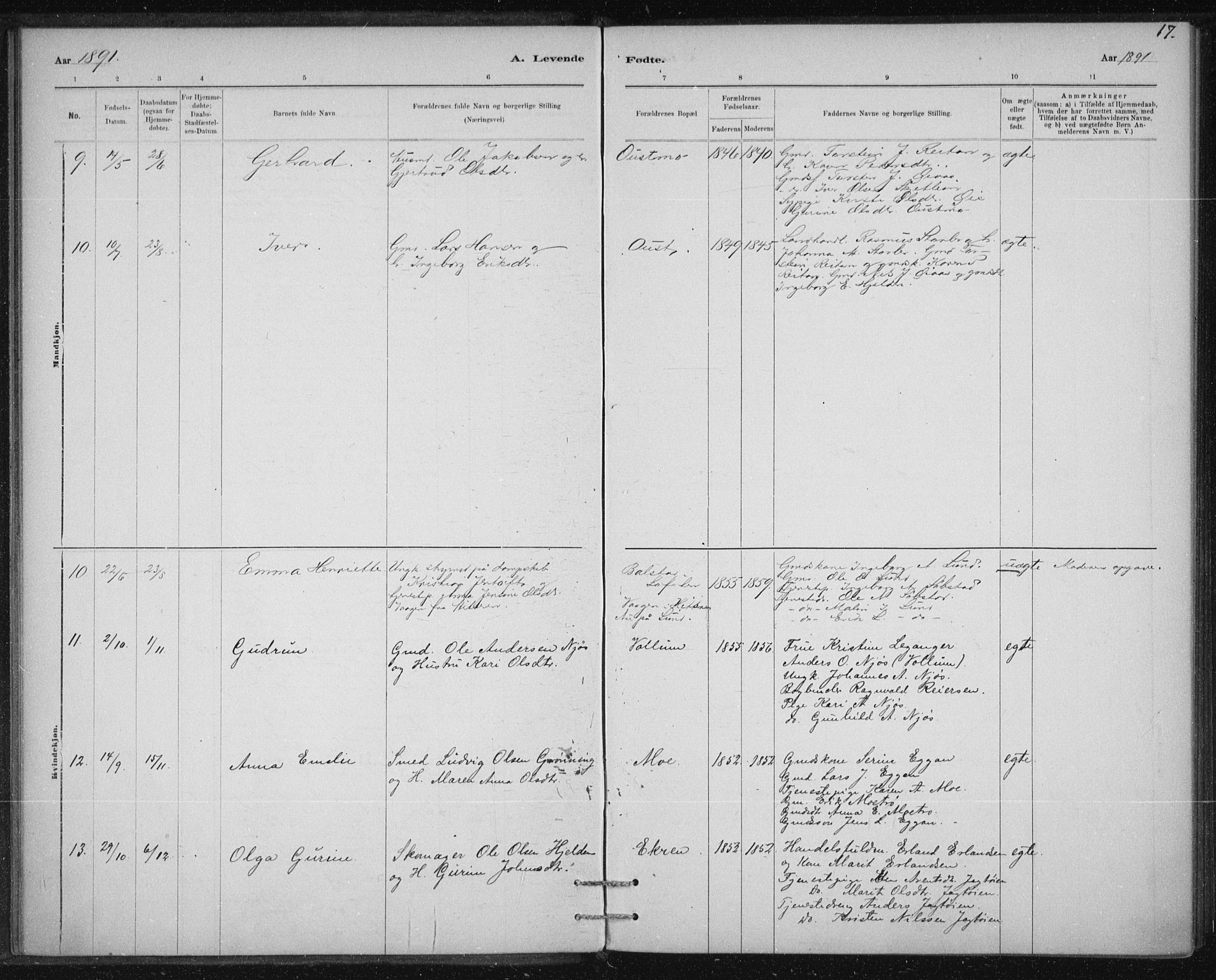 Ministerialprotokoller, klokkerbøker og fødselsregistre - Sør-Trøndelag, AV/SAT-A-1456/613/L0392: Ministerialbok nr. 613A01, 1887-1906, s. 17