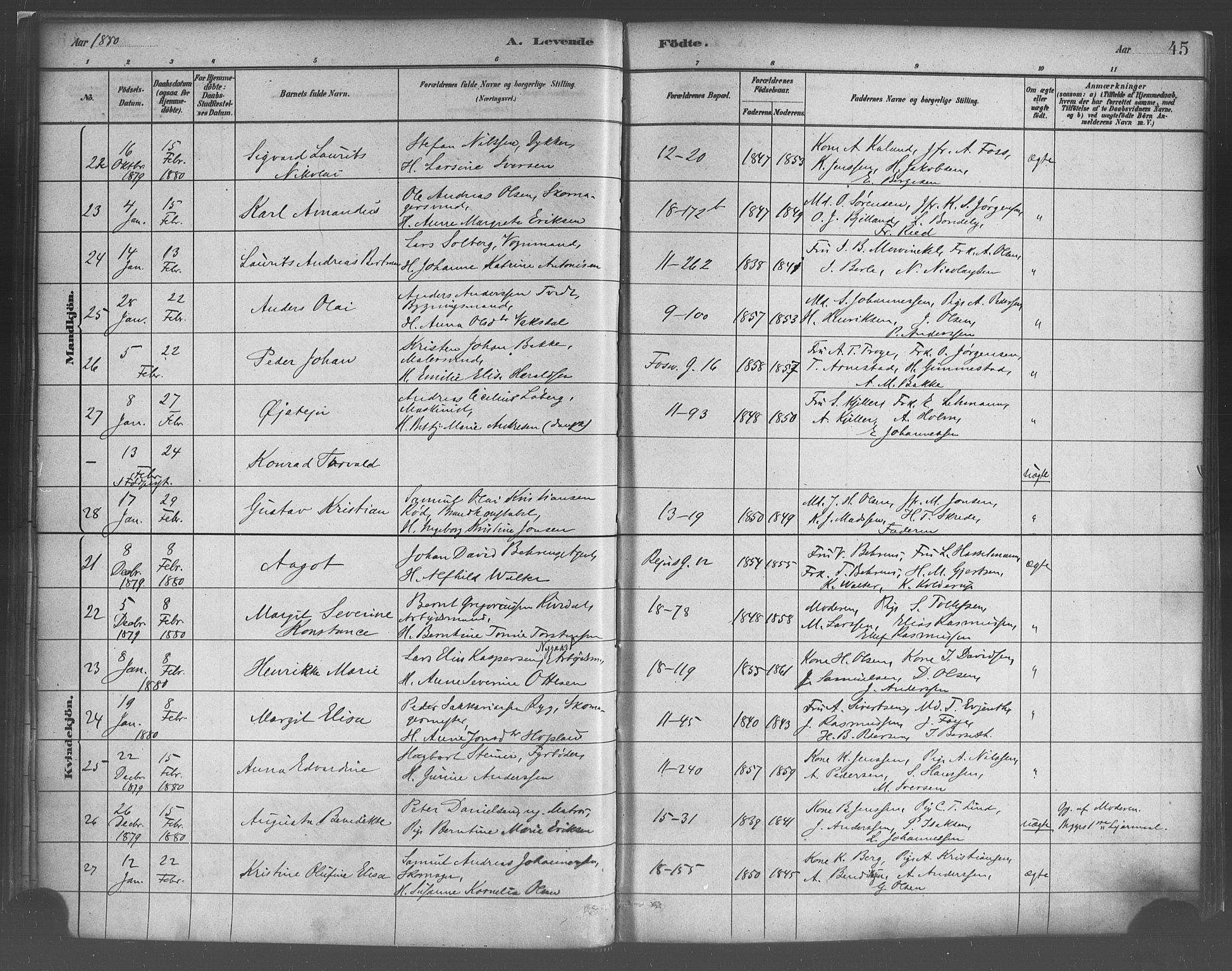 Domkirken sokneprestembete, AV/SAB-A-74801/H/Haa/L0023: Ministerialbok nr. B 6, 1879-1887, s. 45