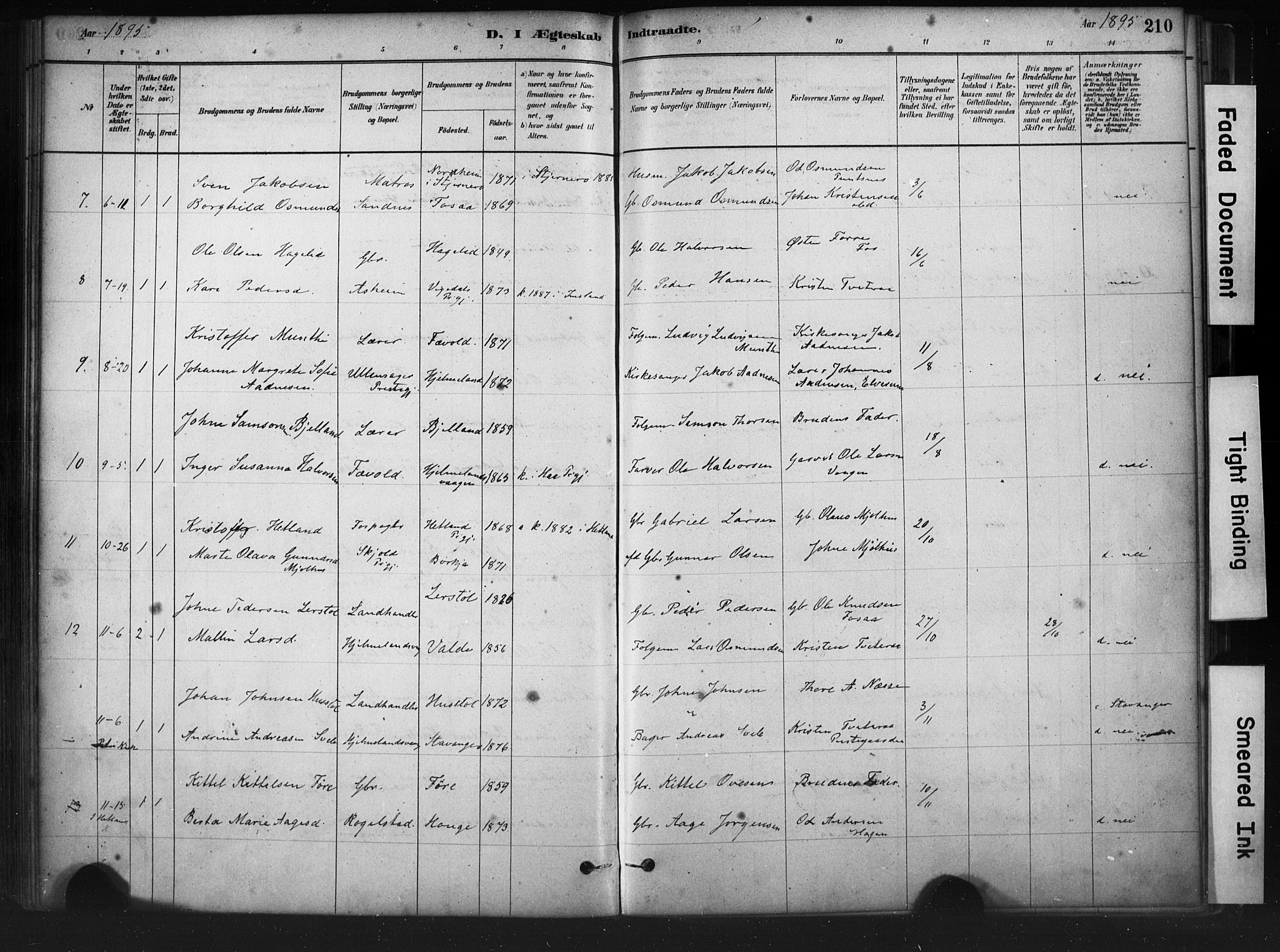 Hjelmeland sokneprestkontor, AV/SAST-A-101843/01/IV/L0014: Ministerialbok nr. A 14, 1879-1900, s. 210