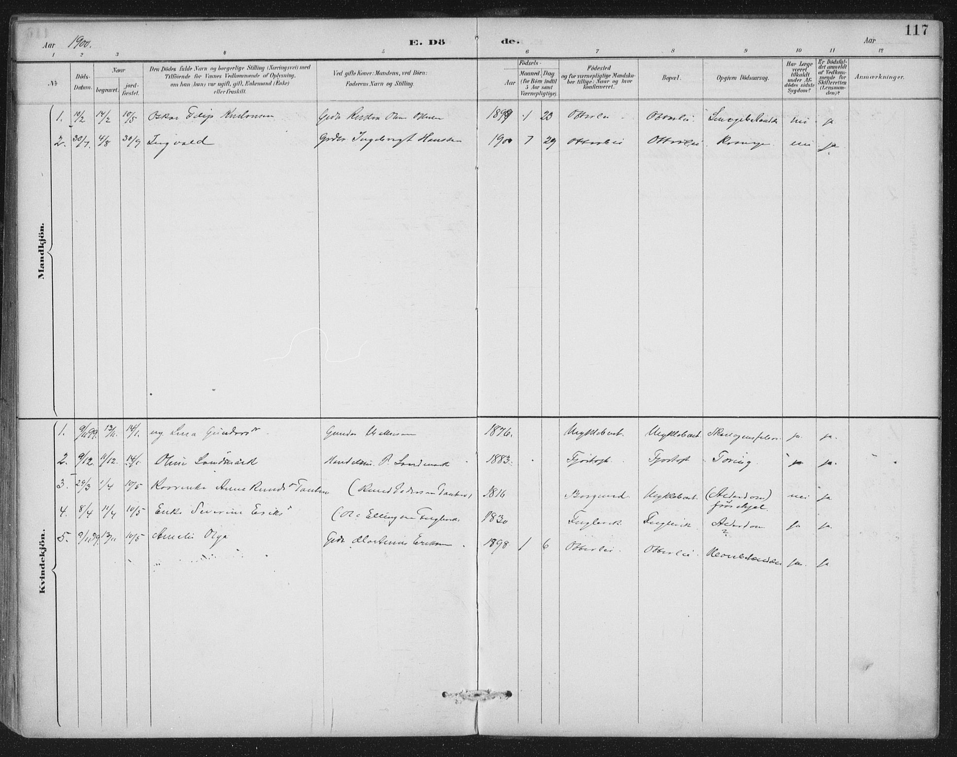 Ministerialprotokoller, klokkerbøker og fødselsregistre - Møre og Romsdal, AV/SAT-A-1454/538/L0522: Ministerialbok nr. 538A01, 1884-1913, s. 117