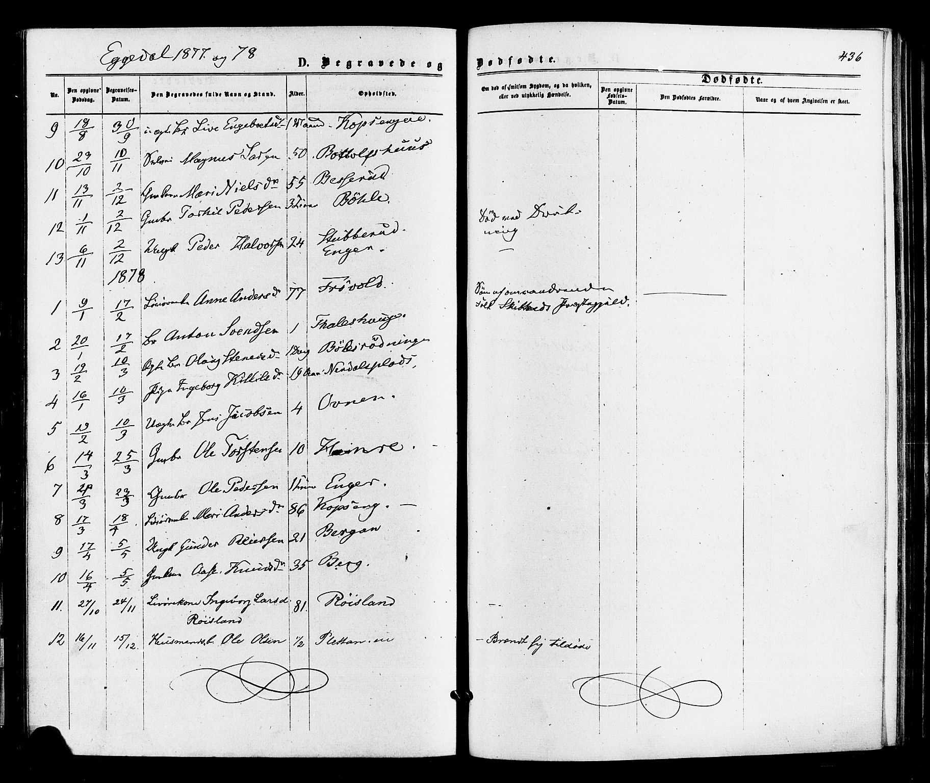 Sigdal kirkebøker, AV/SAKO-A-245/F/Fa/L0010: Ministerialbok nr. I 10 /3, 1872-1878, s. 436