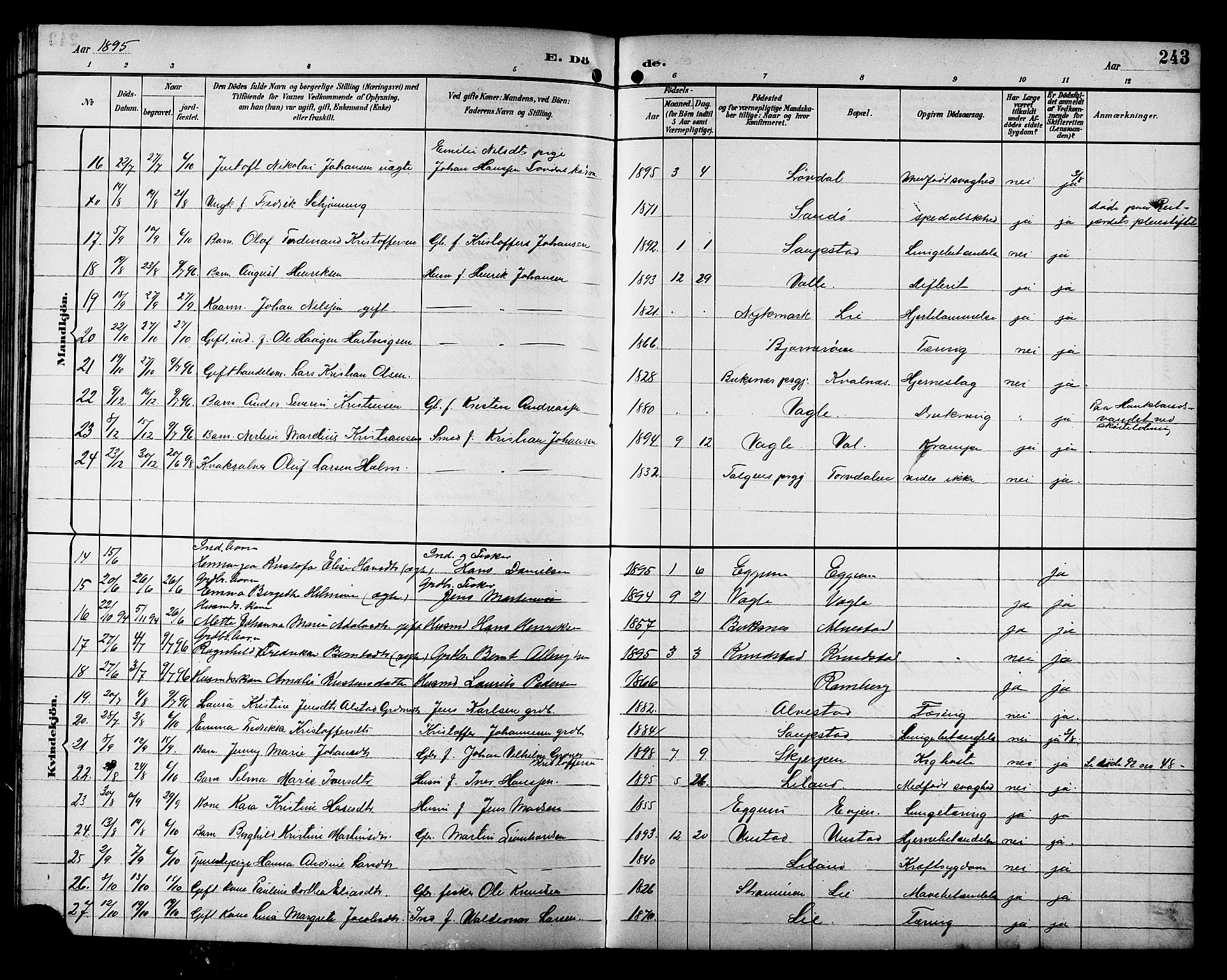 Ministerialprotokoller, klokkerbøker og fødselsregistre - Nordland, AV/SAT-A-1459/880/L1141: Klokkerbok nr. 880C03, 1893-1928, s. 243