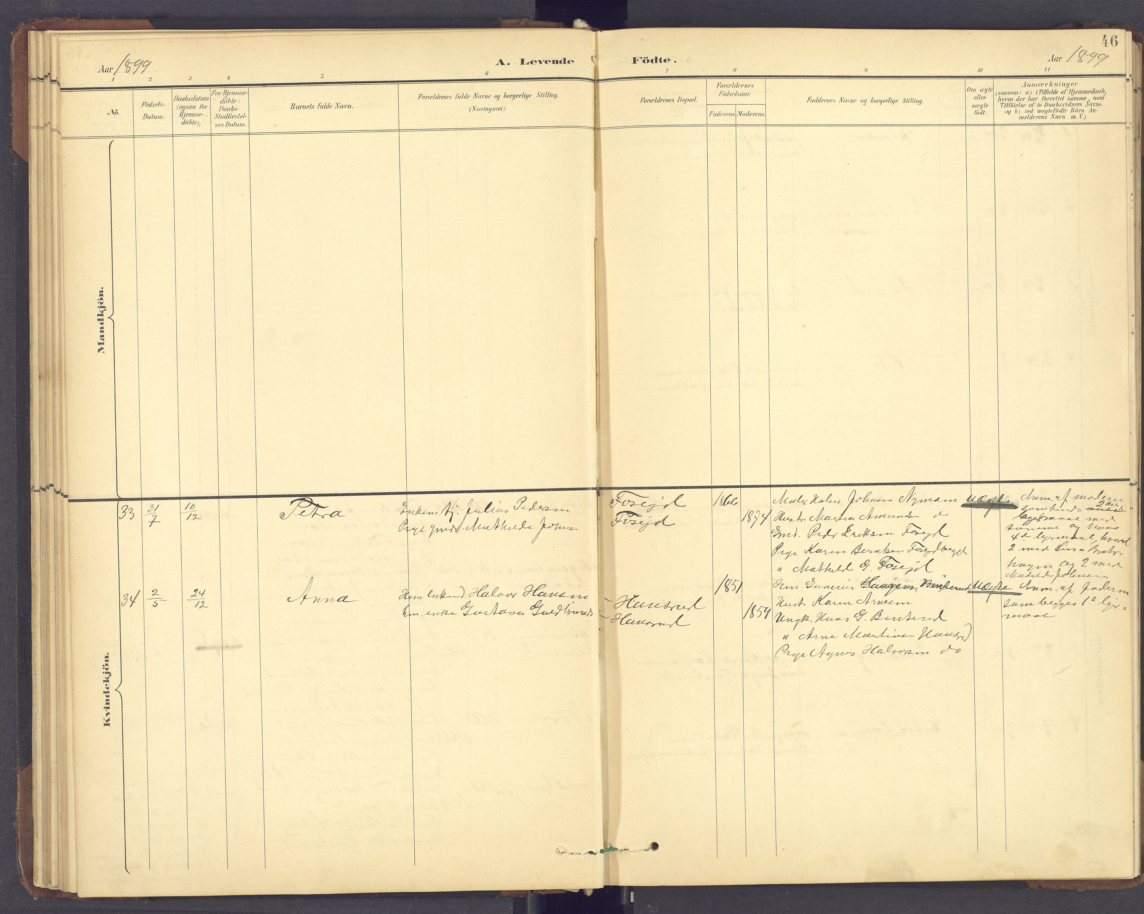 Brandval prestekontor, AV/SAH-PREST-034/H/Ha/Hab/L0002: Klokkerbok nr. 2, 1895-1904, s. 46