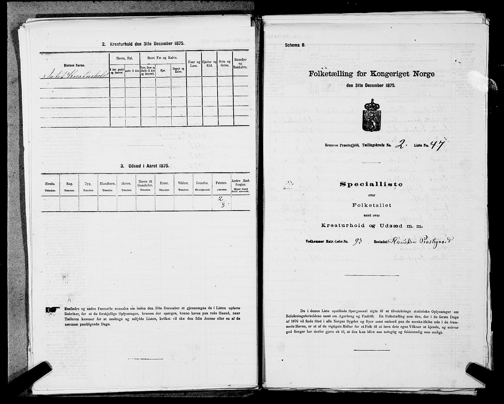 SAST, Folketelling 1875 for 1142P Rennesøy prestegjeld, 1875, s. 236