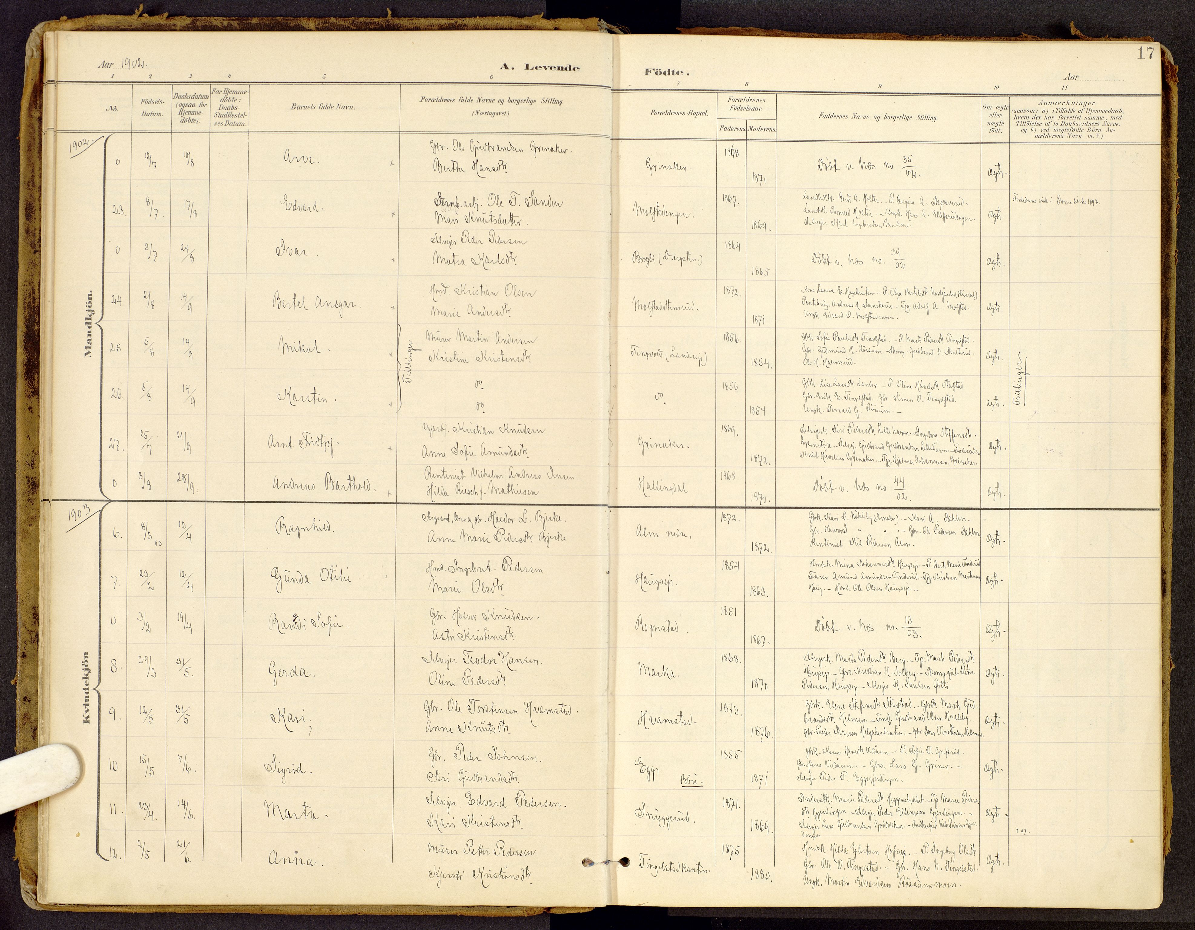 Brandbu prestekontor, SAH/PREST-114/H/Ha/Haa/L0002: Ministerialbok nr. 2, 1899-1914, s. 17