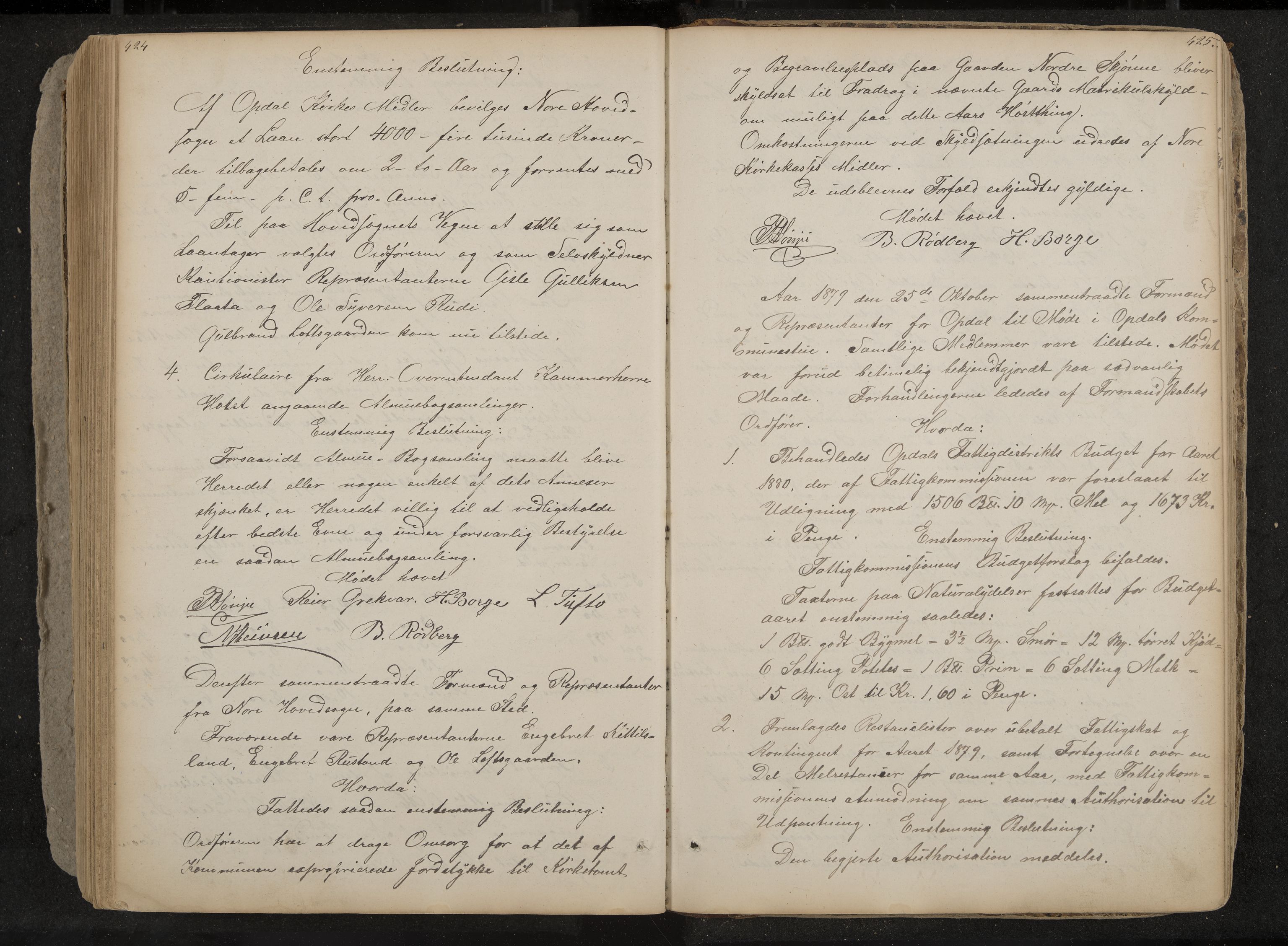 Nore og Uvdal formannskap, IKAK/0633021-1/A/L0001: Møtebok, 1859-1882, s. 424-425