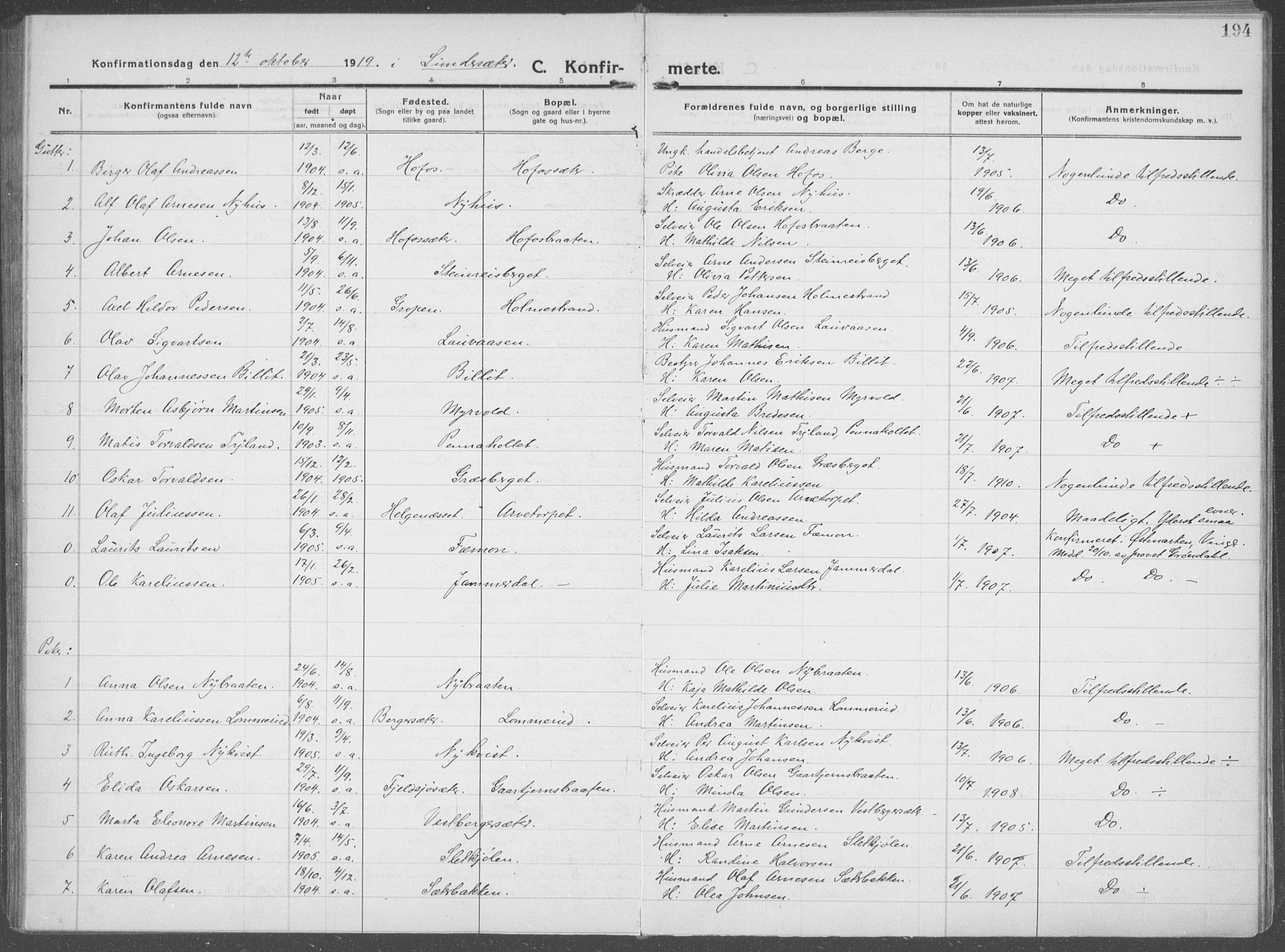 Brandval prestekontor, AV/SAH-PREST-034/H/Ha/Haa/L0004: Ministerialbok nr. 4, 1910-1924, s. 194