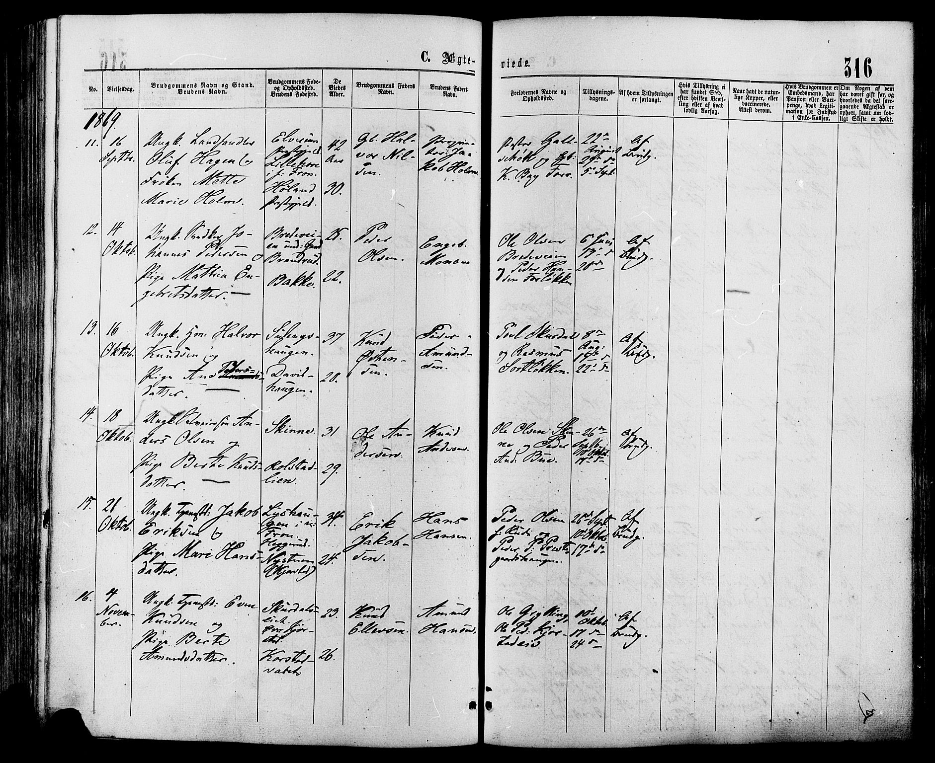 Sør-Fron prestekontor, AV/SAH-PREST-010/H/Ha/Haa/L0002: Ministerialbok nr. 2, 1864-1880, s. 316
