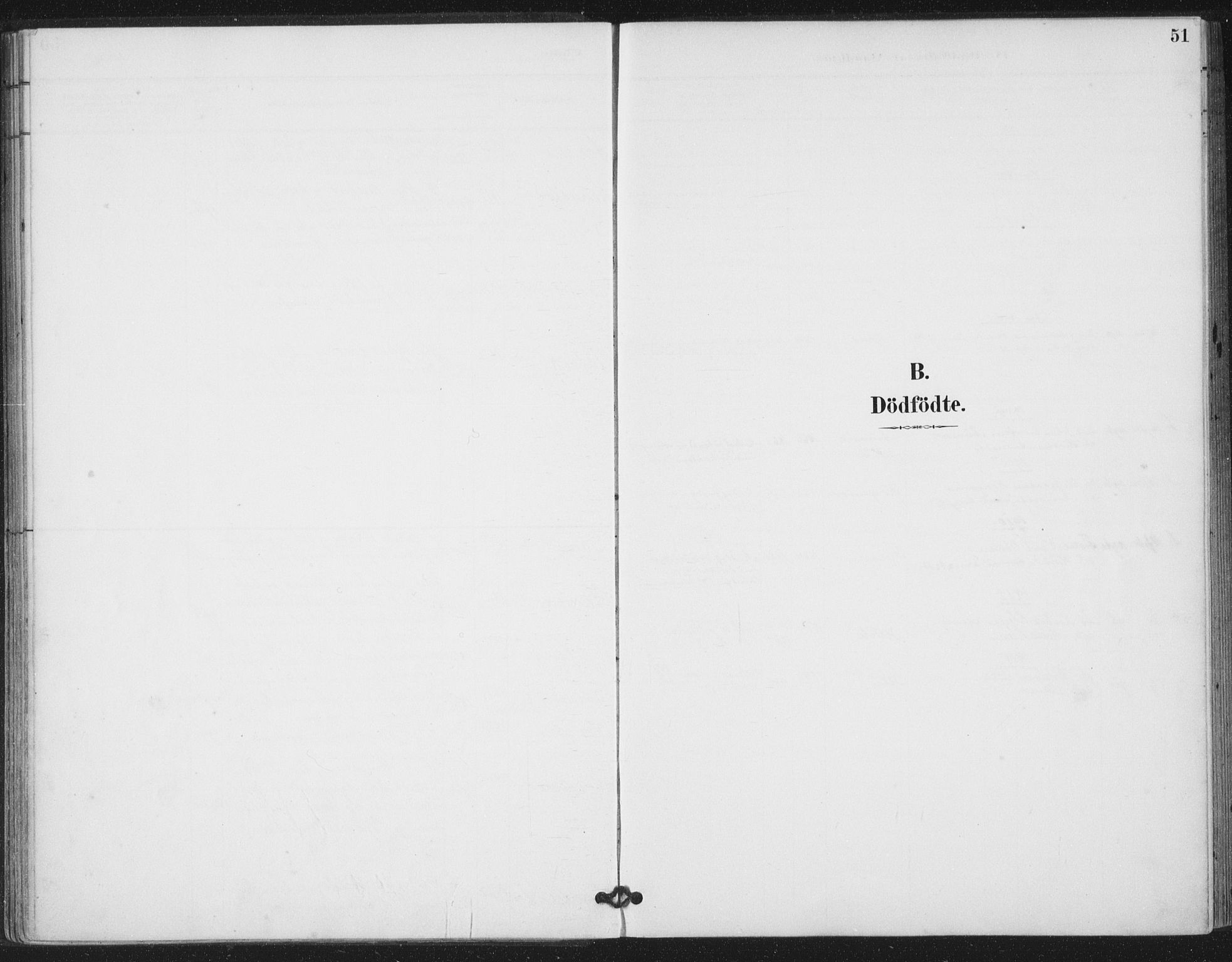 Ministerialprotokoller, klokkerbøker og fødselsregistre - Nord-Trøndelag, AV/SAT-A-1458/783/L0660: Ministerialbok nr. 783A02, 1886-1918, s. 51