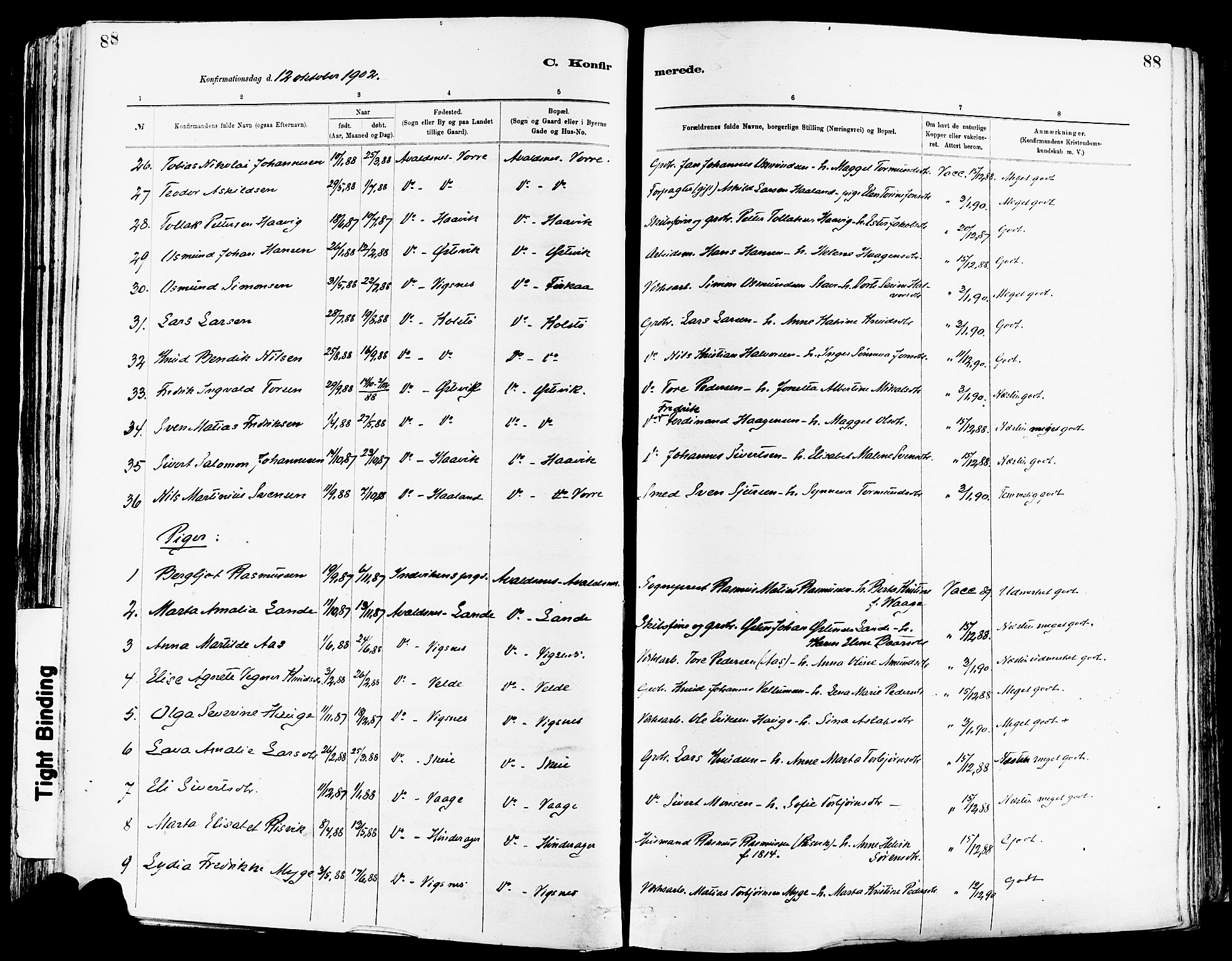 Avaldsnes sokneprestkontor, SAST/A -101851/H/Ha/Haa/L0015: Ministerialbok nr. A 15, 1880-1906, s. 88