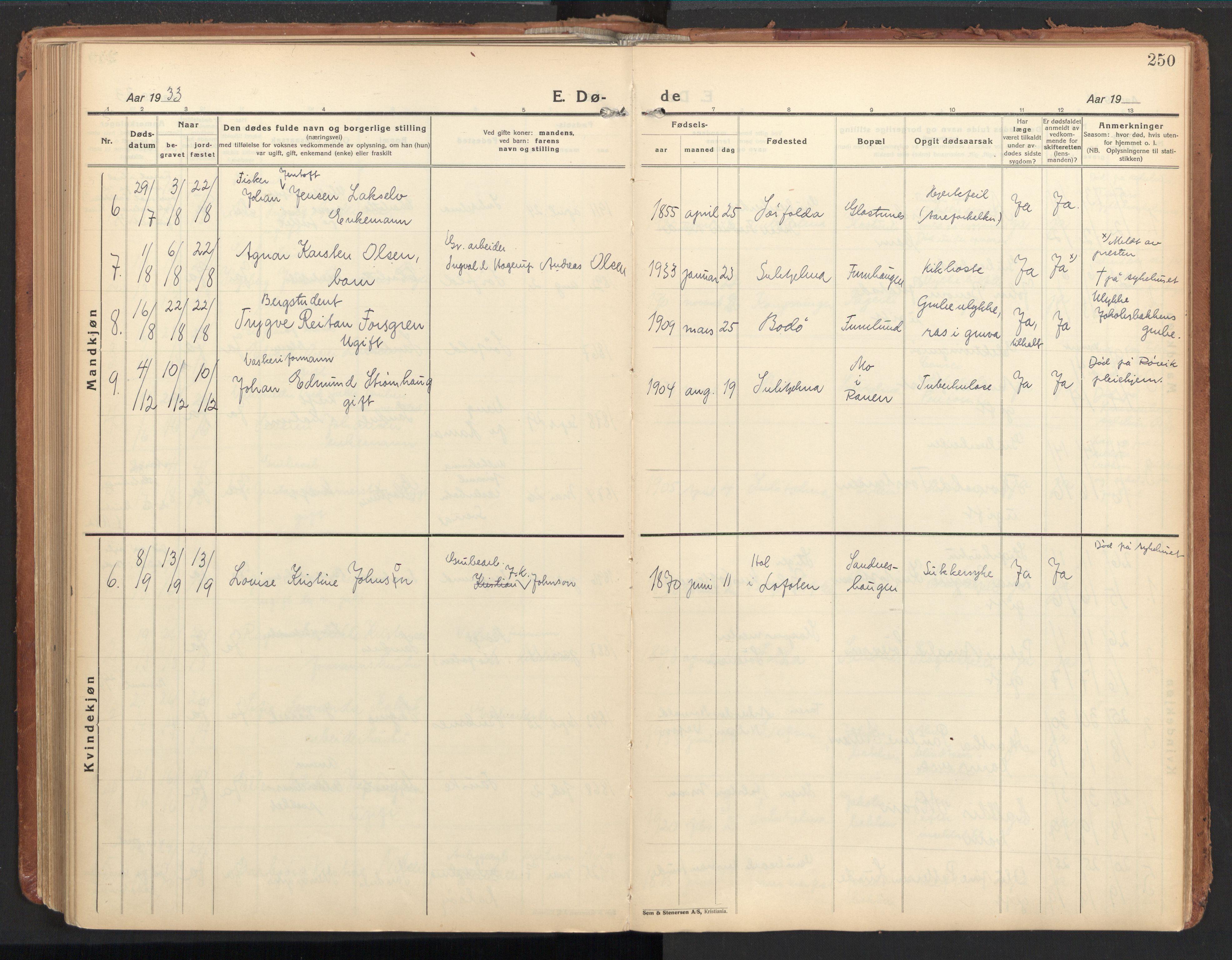 Ministerialprotokoller, klokkerbøker og fødselsregistre - Nordland, SAT/A-1459/850/L0716: Residerende kapellans bok nr. 850B06, 1924-1938, s. 250