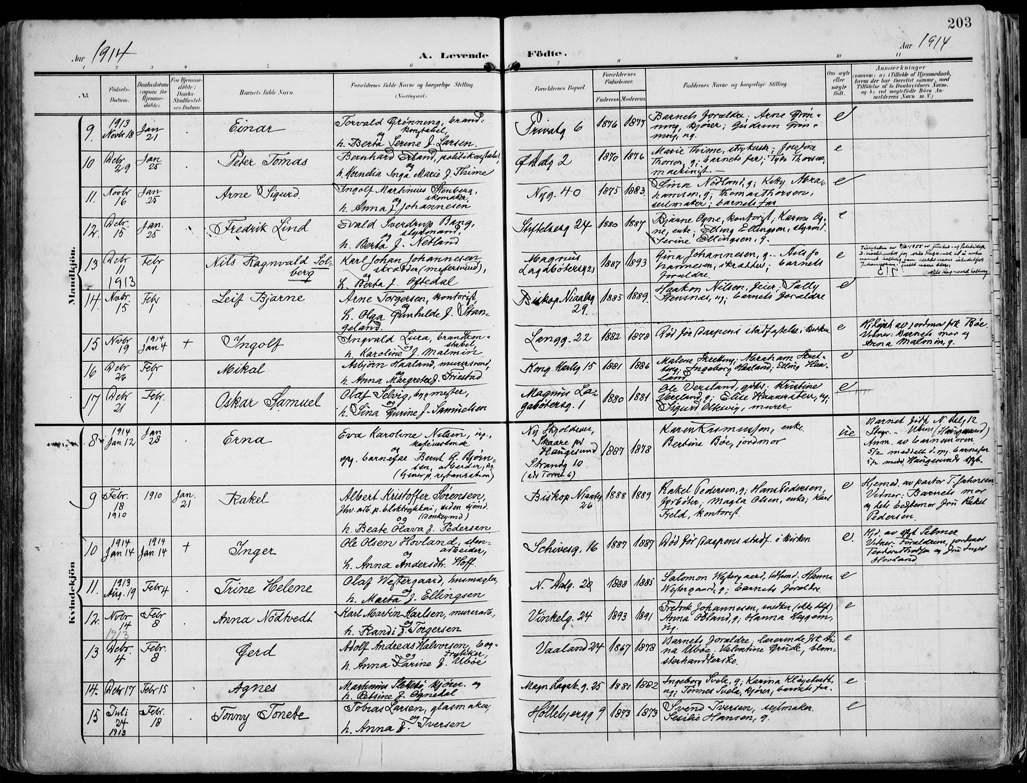 St. Petri sokneprestkontor, AV/SAST-A-101813/002/A/L0005: Ministerialbok nr. A 23, 1902-1918, s. 203