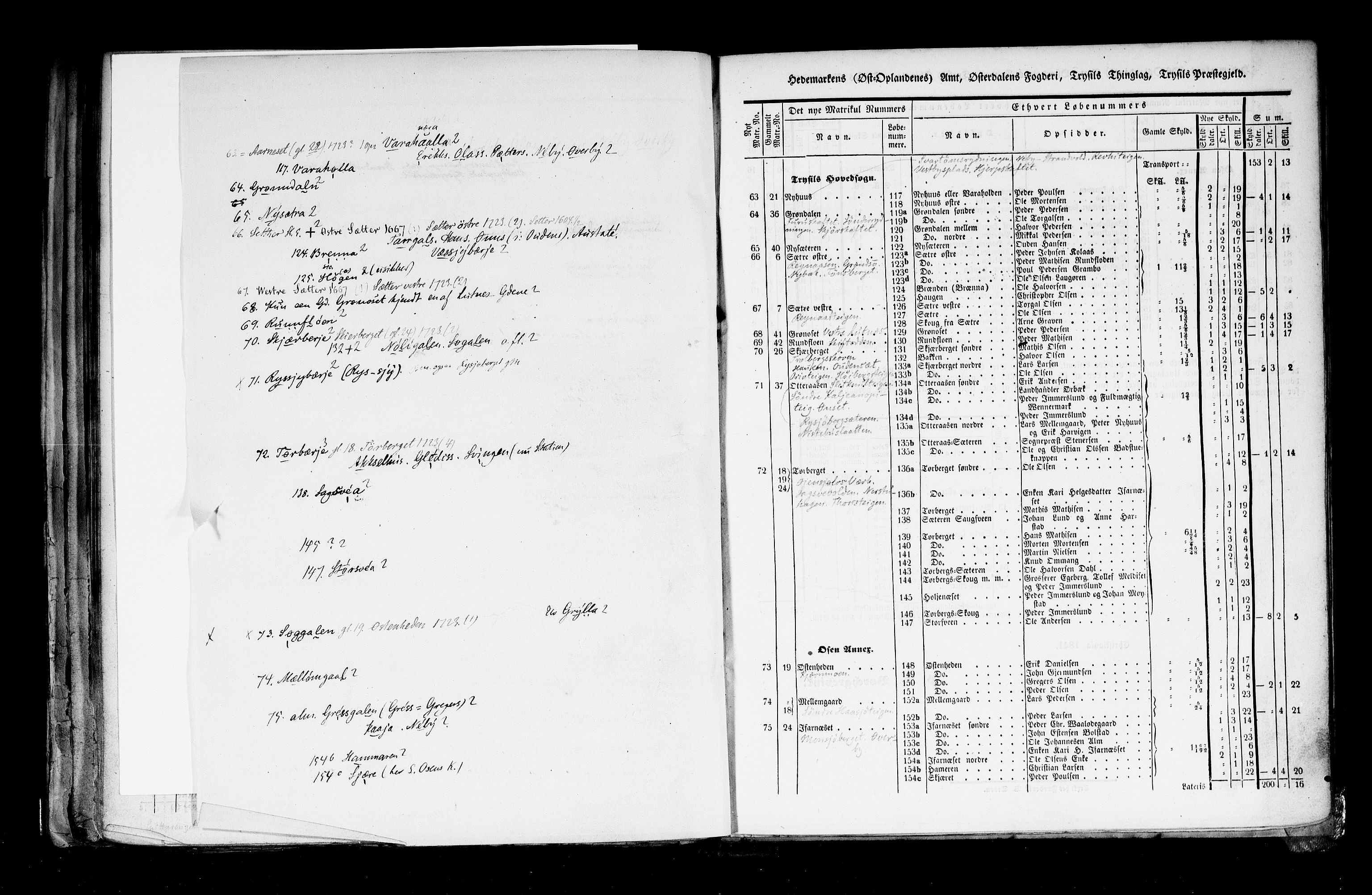 Rygh, AV/RA-PA-0034/F/Fb/L0003: Matrikkelen for 1838 - Hedemarken amt (Hedmark fylke), 1838