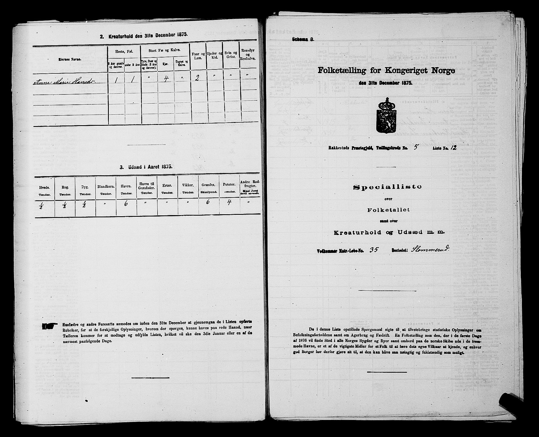 RA, Folketelling 1875 for 0128P Rakkestad prestegjeld, 1875, s. 621