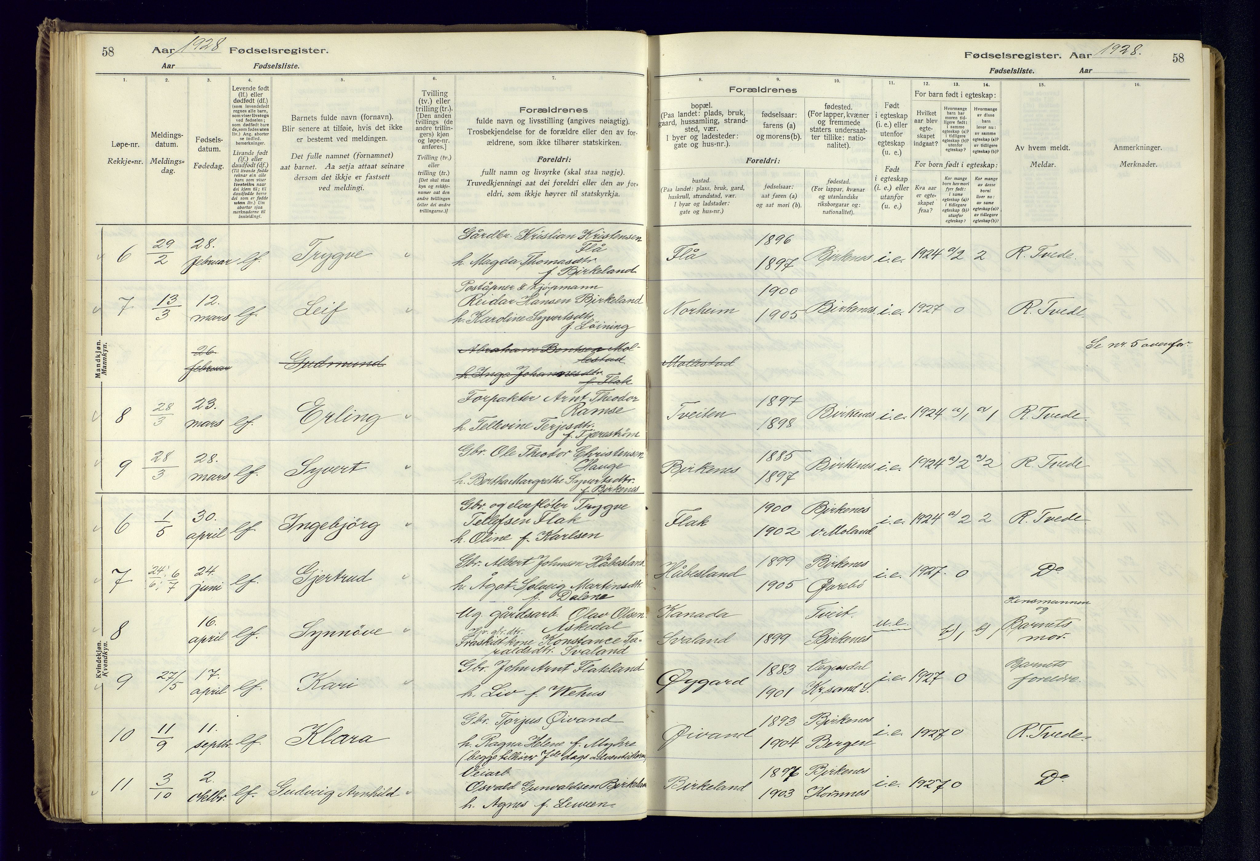 Birkenes sokneprestkontor, SAK/1111-0004/J/Ja/L0001: Fødselsregister nr. II.6.4, 1916-1962, s. 58