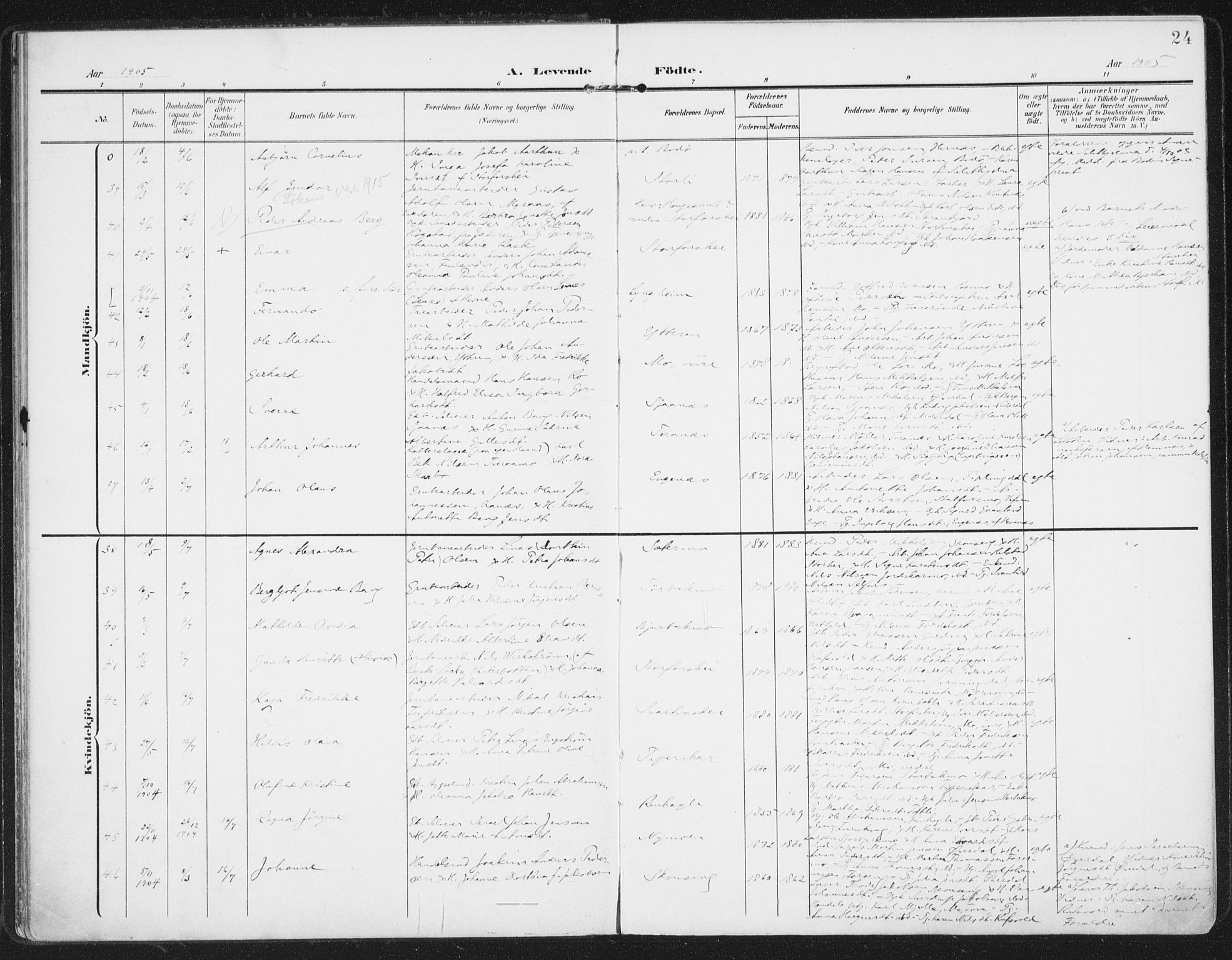 Ministerialprotokoller, klokkerbøker og fødselsregistre - Nordland, AV/SAT-A-1459/827/L0402: Ministerialbok nr. 827A14, 1903-1912, s. 24