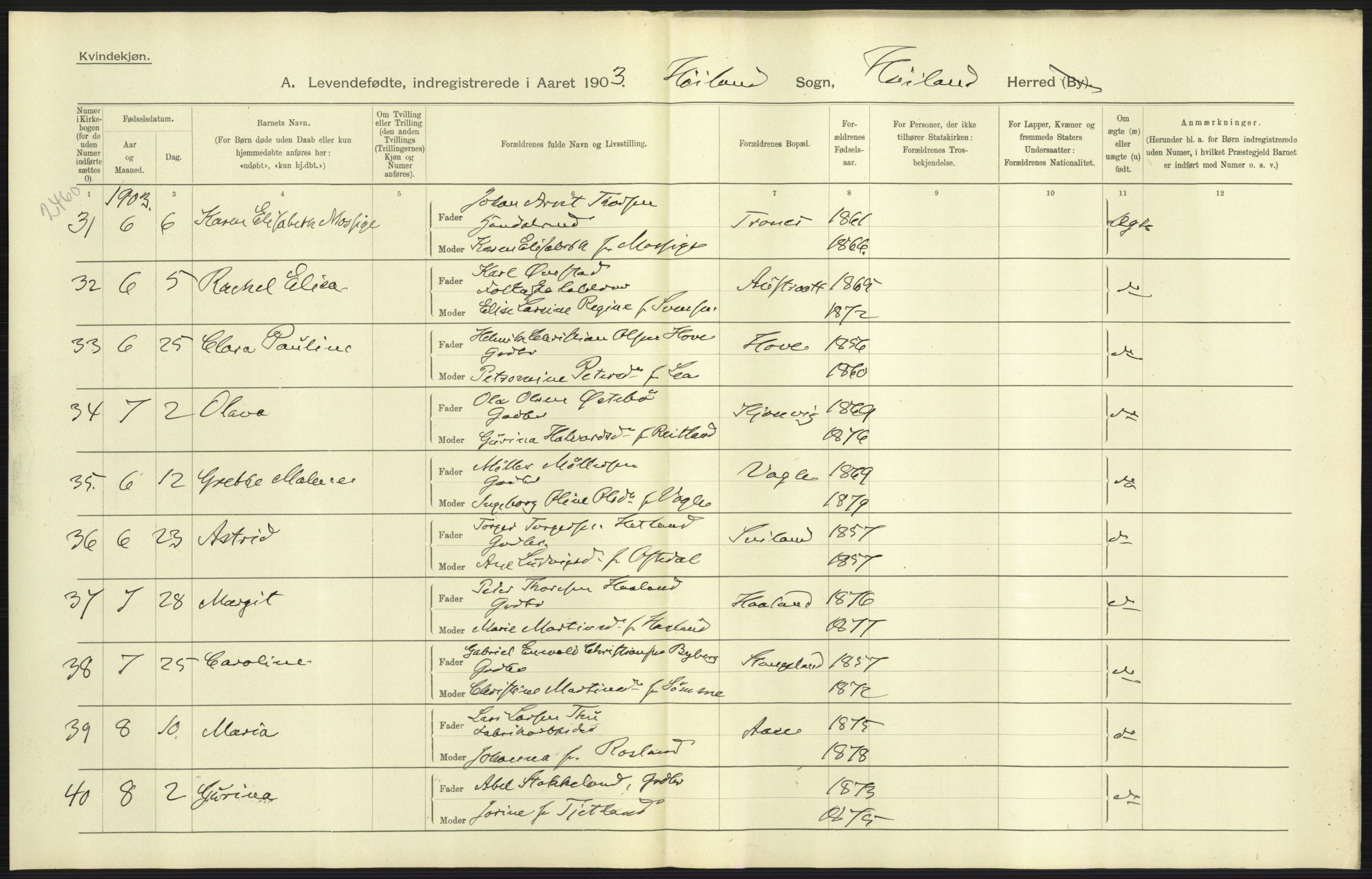 Statistisk sentralbyrå, Sosiodemografiske emner, Befolkning, AV/RA-S-2228/D/Df/Dfa/Dfaa/L0012: Stavanger amt: Fødte, gifte, døde, 1903, s. 9