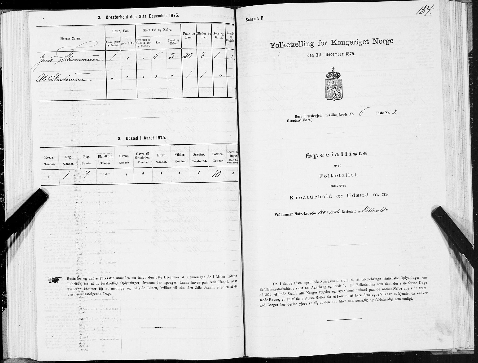 SAT, Folketelling 1875 for 1843L Bodø prestegjeld, Bodø landsokn, 1875, s. 3134