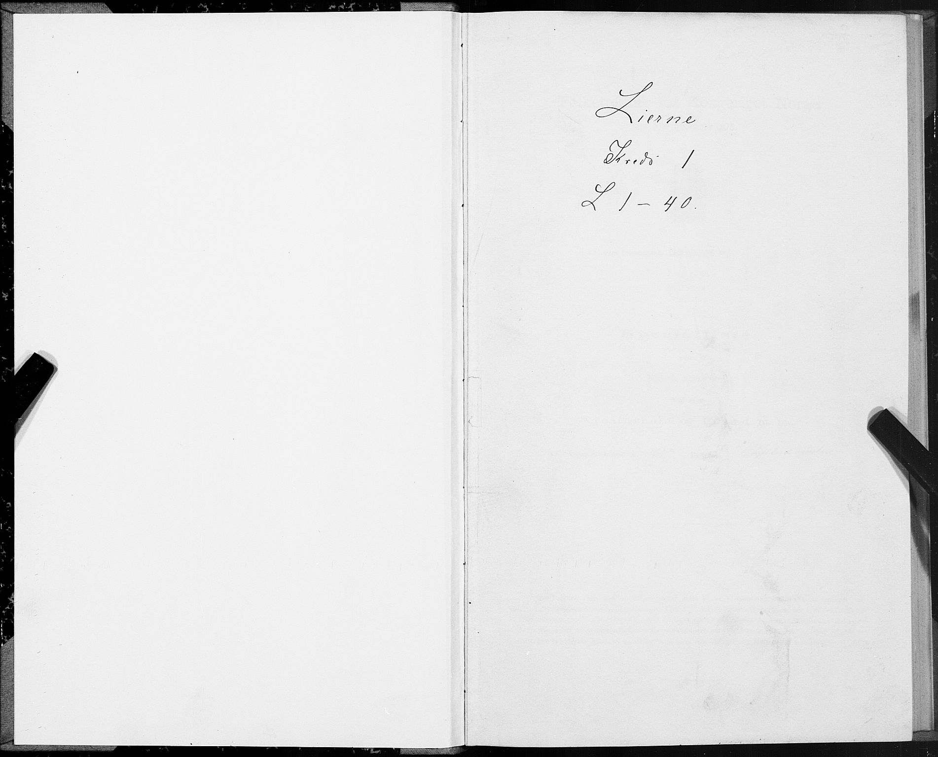 SAT, Folketelling 1875 for 1737P Lierne prestegjeld, 1875