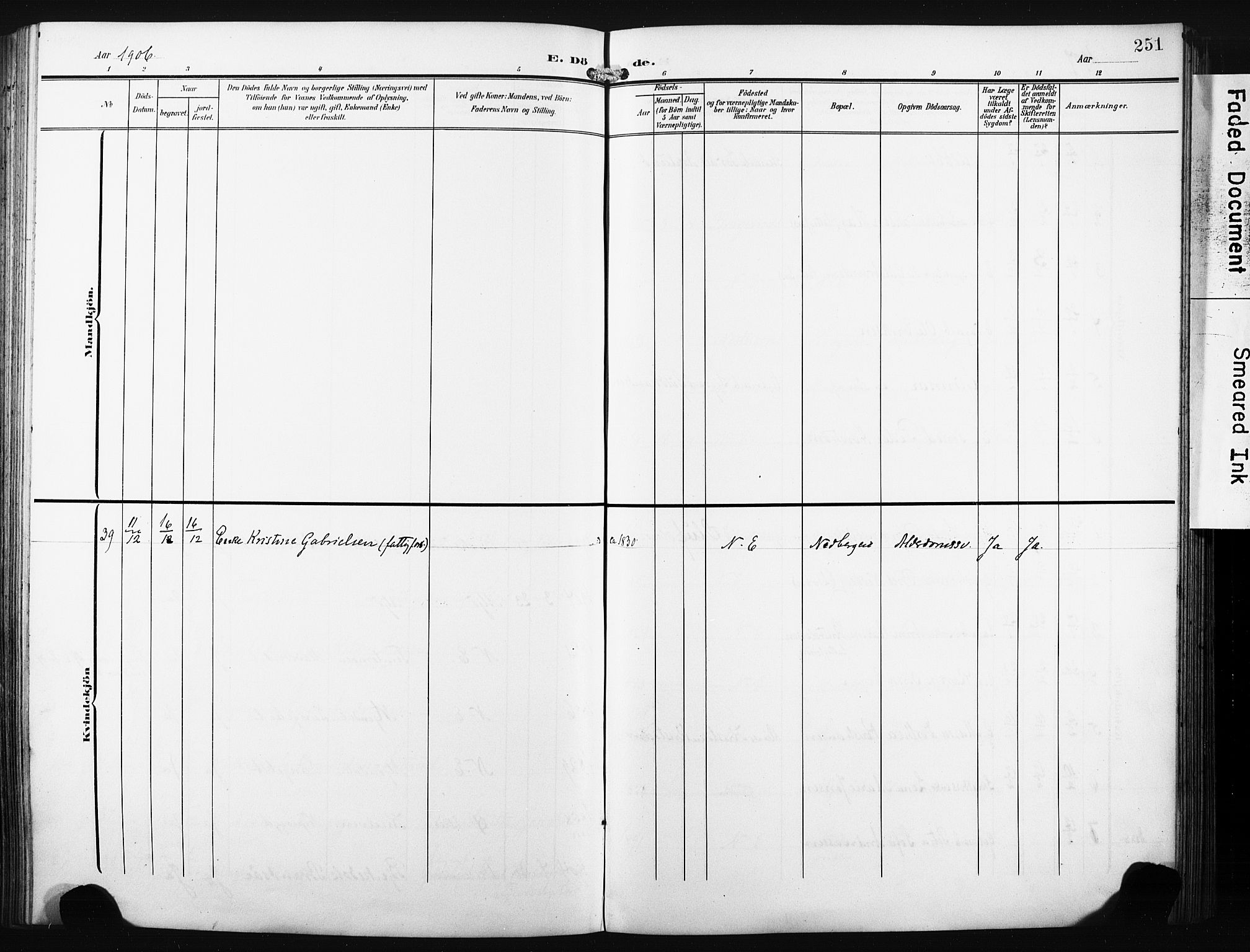 Nedre Eiker kirkebøker, AV/SAKO-A-612/F/Fa/L0006: Ministerialbok nr. 6, 1906-1912, s. 251
