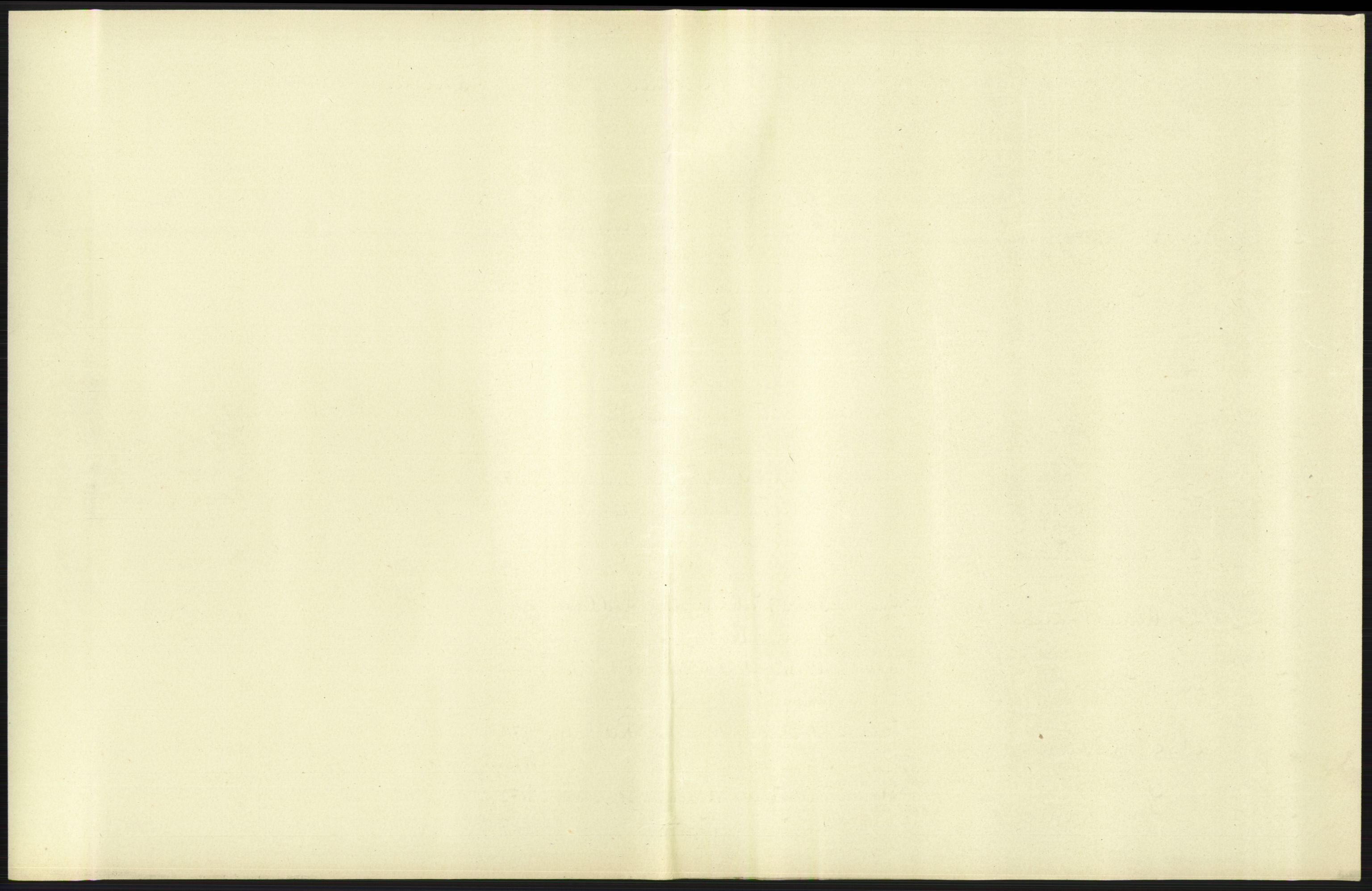 Statistisk sentralbyrå, Sosiodemografiske emner, Befolkning, AV/RA-S-2228/D/Df/Dfa/Dfab/L0010: Nedenes amt: Fødte, gifte, døde, 1904, s. 21