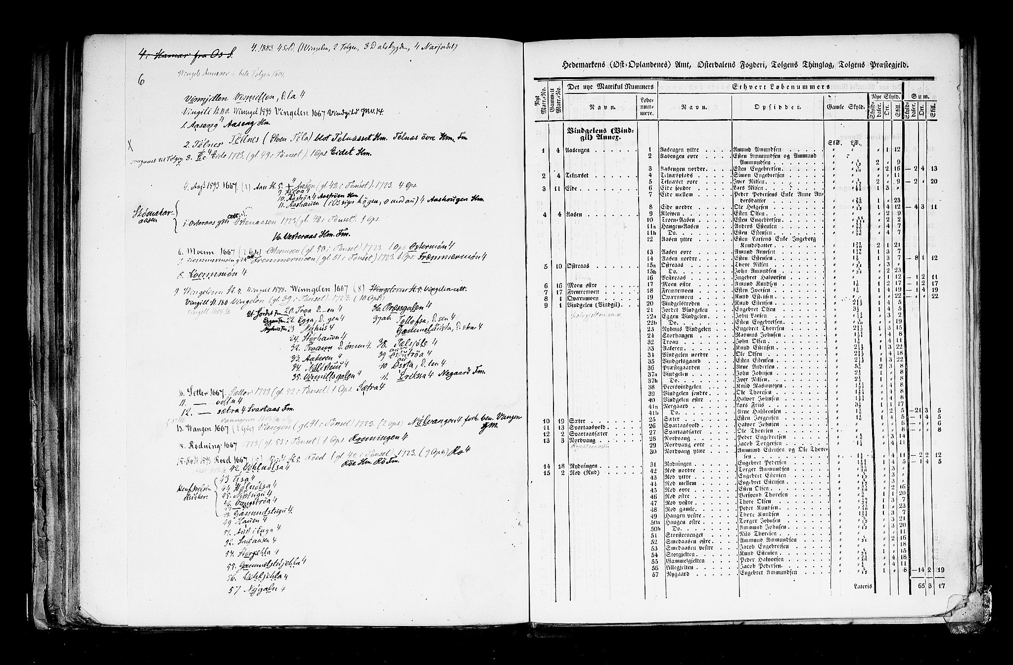 Rygh, AV/RA-PA-0034/F/Fb/L0003: Matrikkelen for 1838 - Hedemarken amt (Hedmark fylke), 1838