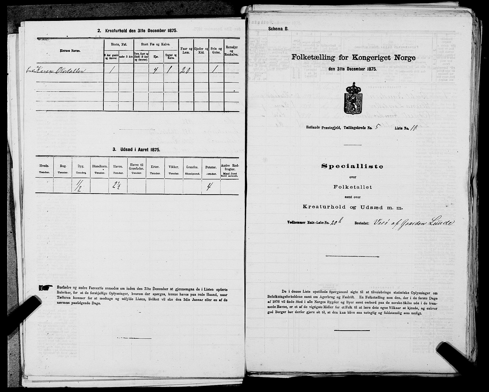 SAST, Folketelling 1875 for 1126P Hetland prestegjeld, 1875, s. 1070