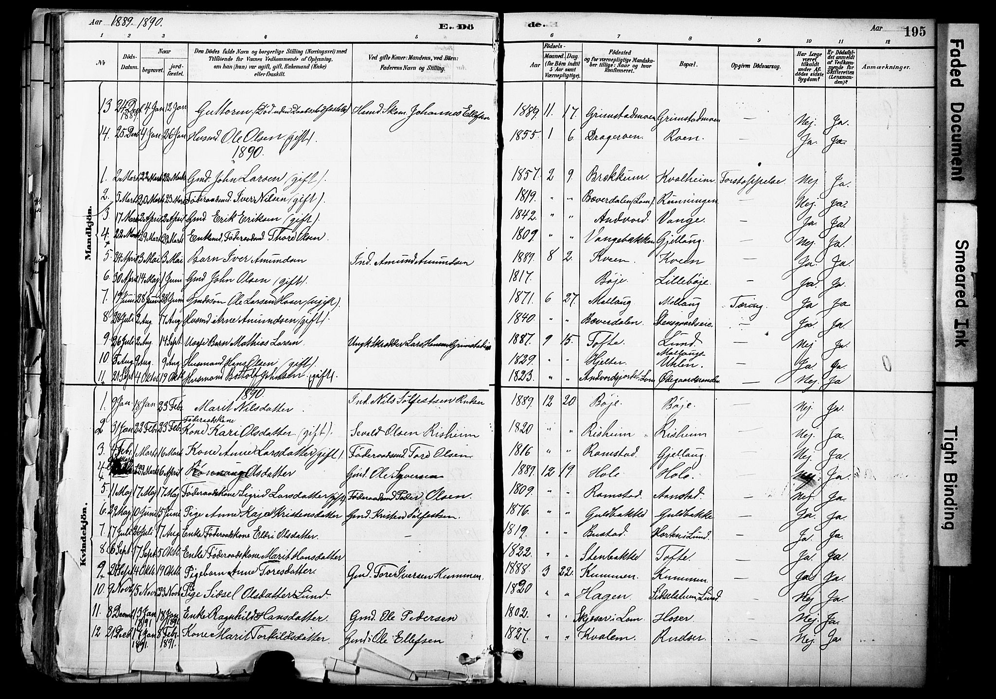 Skjåk prestekontor, AV/SAH-PREST-072/H/Ha/Haa/L0003: Ministerialbok nr. 3, 1880-1907, s. 195